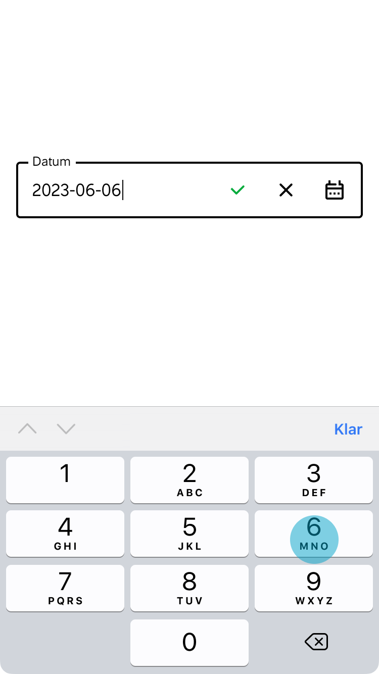 4. Så snart ett datum är korrekt ifyllt visas en grön checkmark.