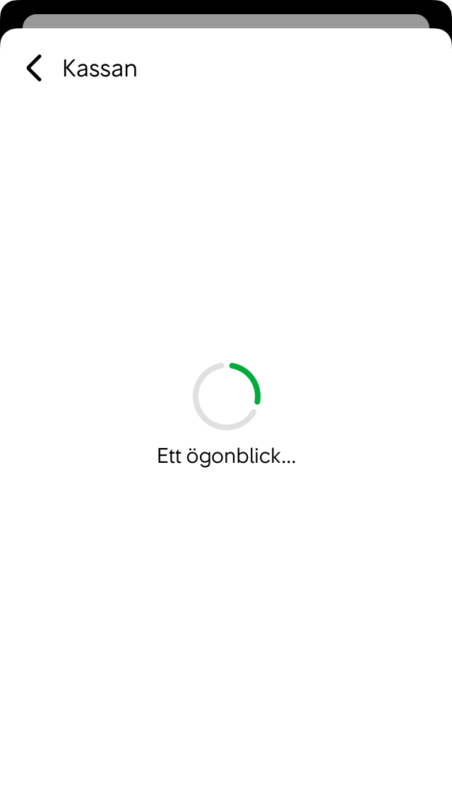 Vi visar en tom sida med en animerad spinner när vi behöver vänta på svaret från servern för att kunna rita nästa sida.