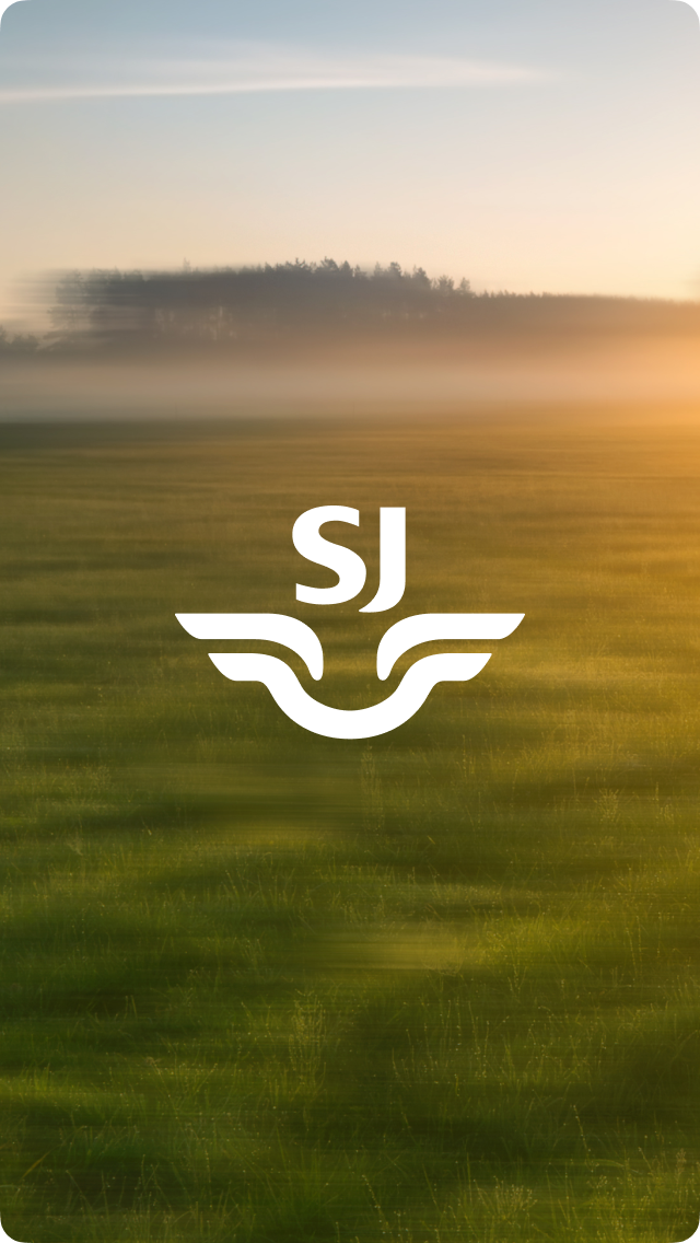 Launch screen example 4