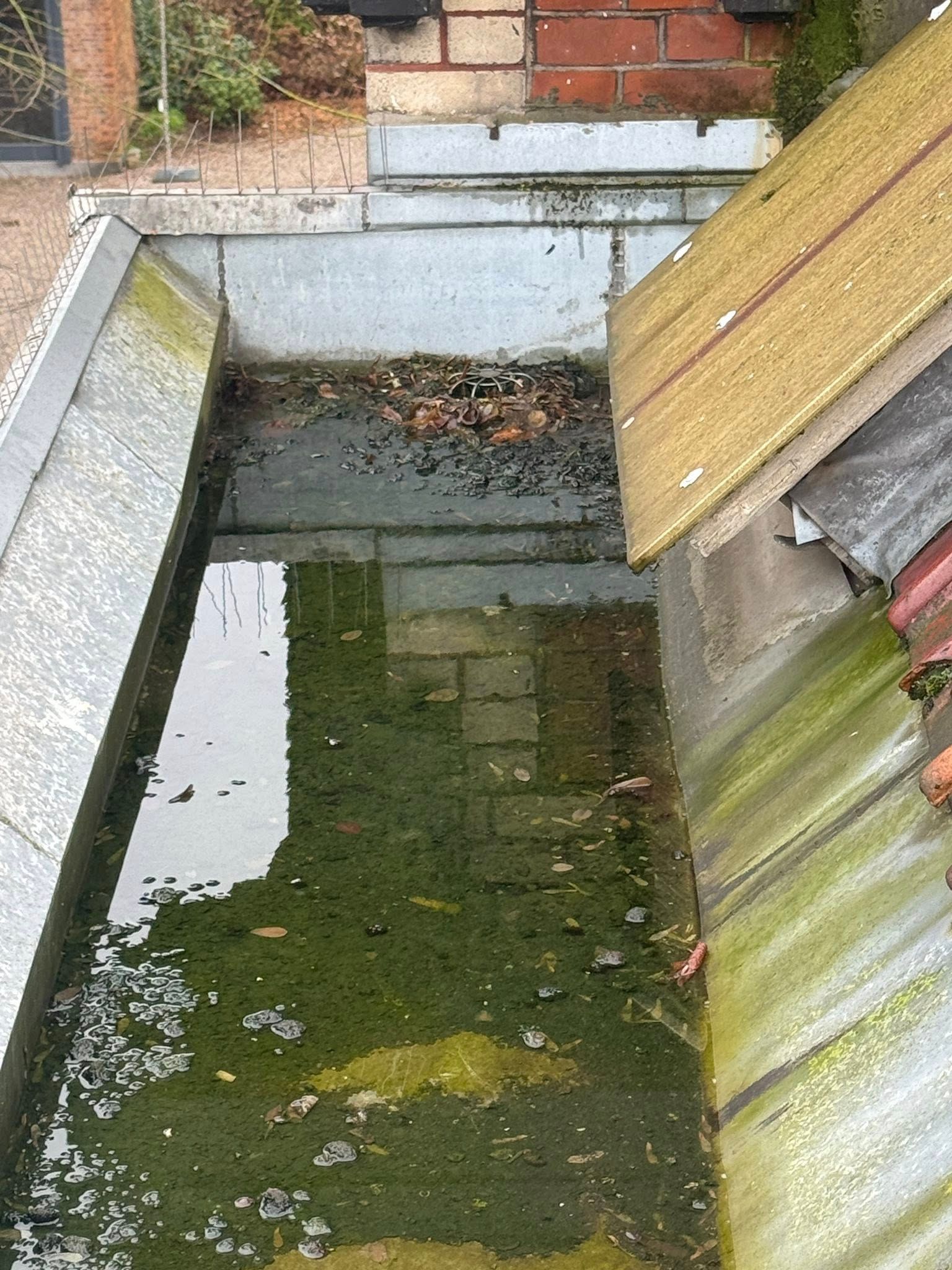 Avant intervention : chéneau bouché à Saint-André-lez-Lille