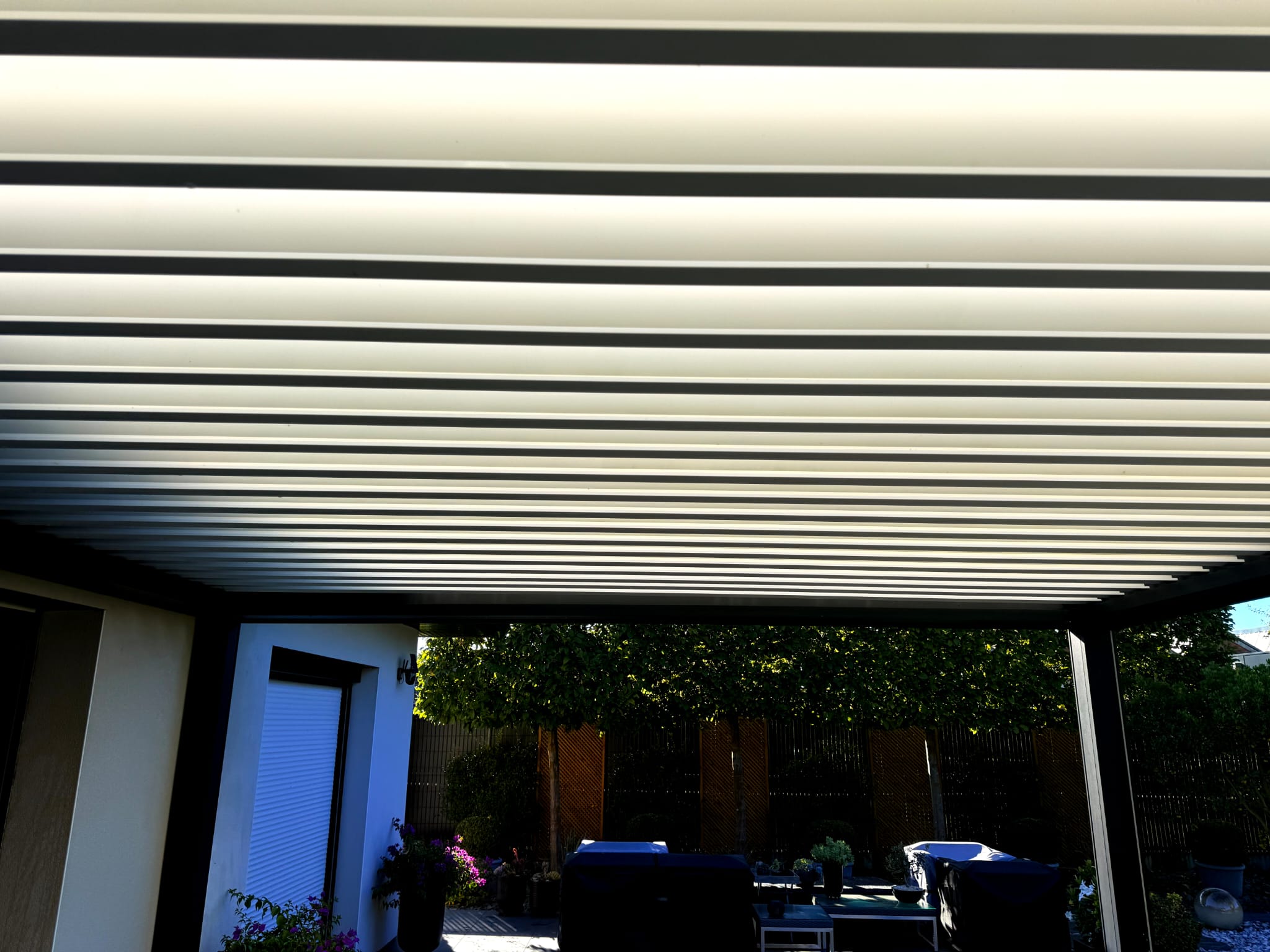 Rendu après nettoyage professionnel de la toiture de pergola à Flines-lez-Raches