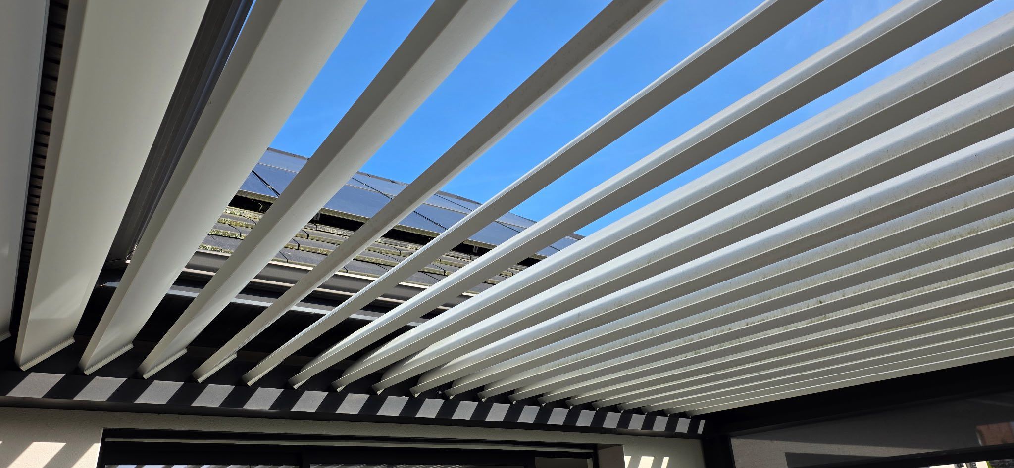 Pergola bioclimatique encrassée par la pollution et les débris végétaux à Flines-lez-Raches avant nettoyage