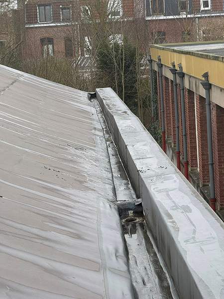 Après nettoyage professionnel vitres et volets à Ronchin par Paandawlv | laveur de vitres pro dans le Nord