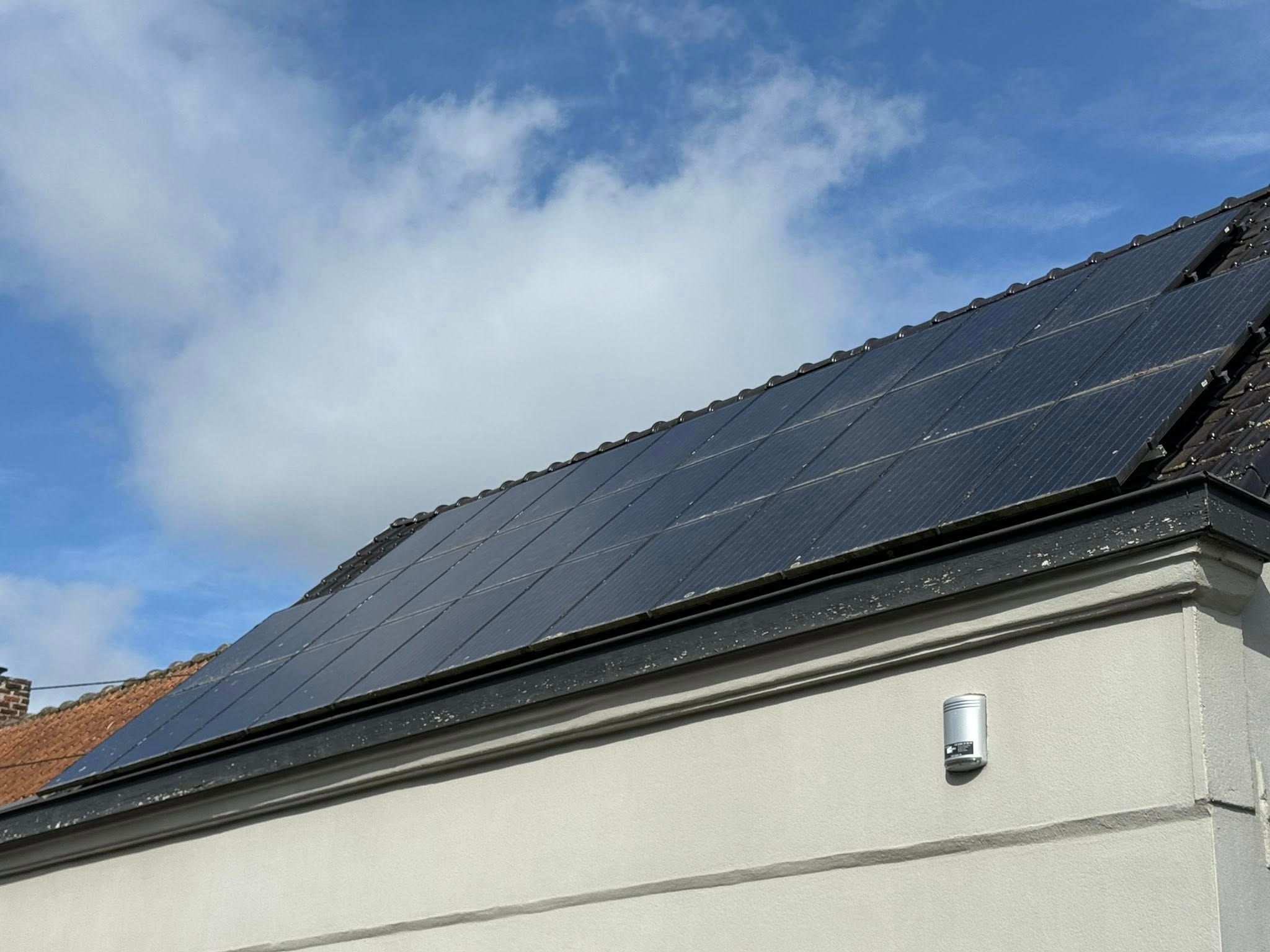 Panneaux solaires encrassés par les lichens et champignons à Templeuve avant nettoyage professionnel