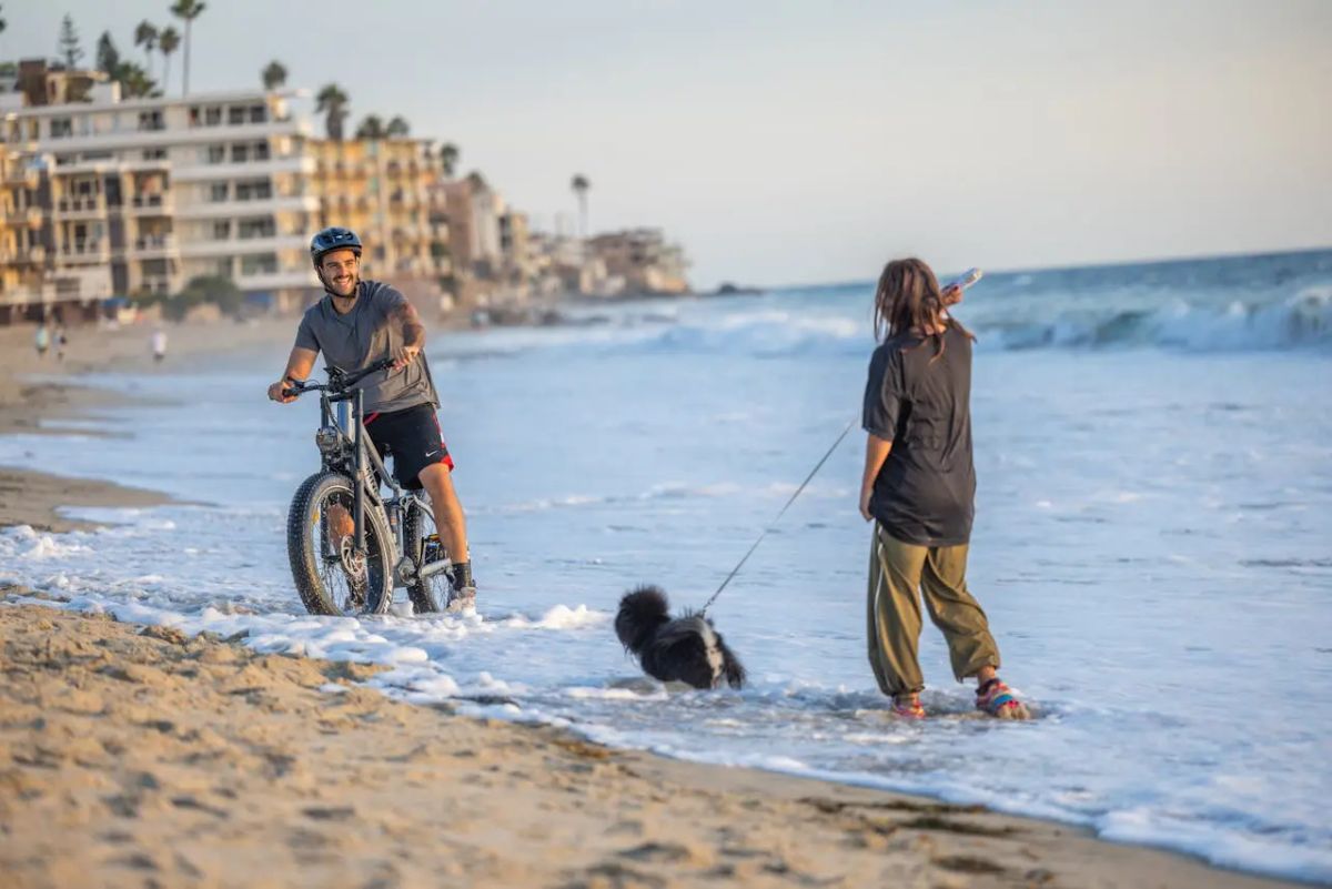 Der Herzschlag Ihres E-Bikes: Insider-B2B-Leitfaden zur Wahl des richtigen Motors 2025