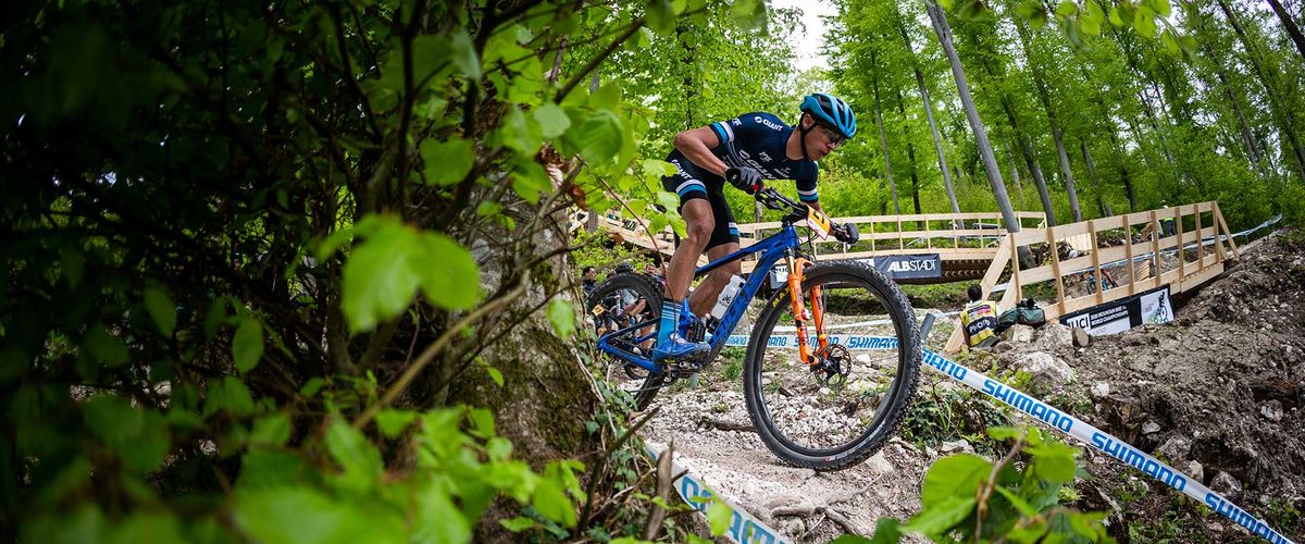Een insider-ranglijst: 's werelds top e-bike fabrikanten voor