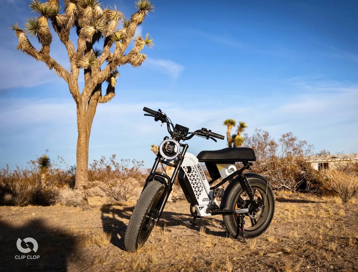 إطارات خضراء، علامات قوية: القضية التجارية لـ E-Bike الخضراء