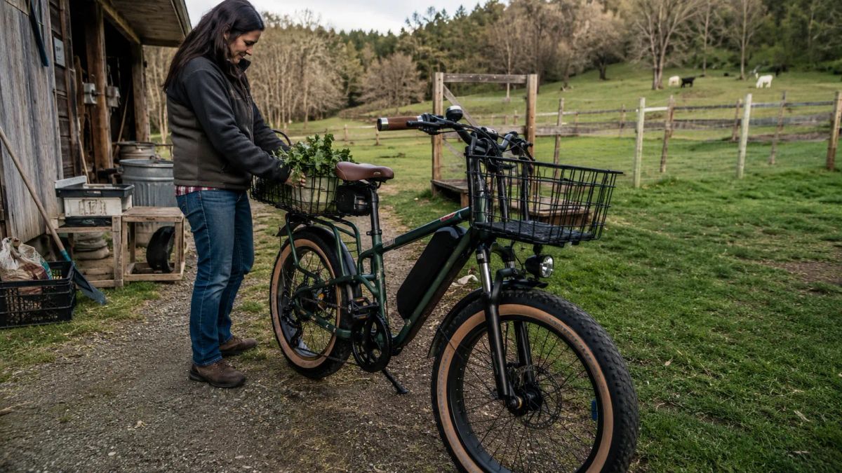 Electric Bike with Basket in 2026: My Honest Take from ClipClop Bike