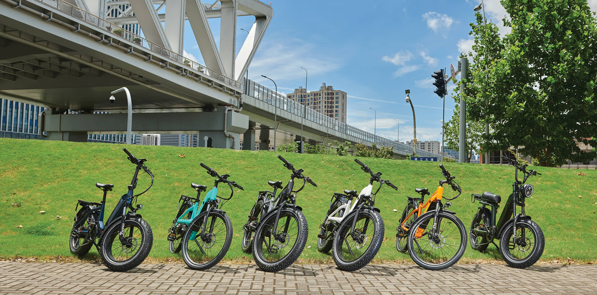 Guía interna: los 5 principales fabricantes chinos de bicicletas eléctricas de llantas gruesas para socios B2B