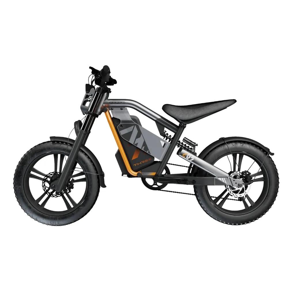 ClipClop L3 OEM electric bike