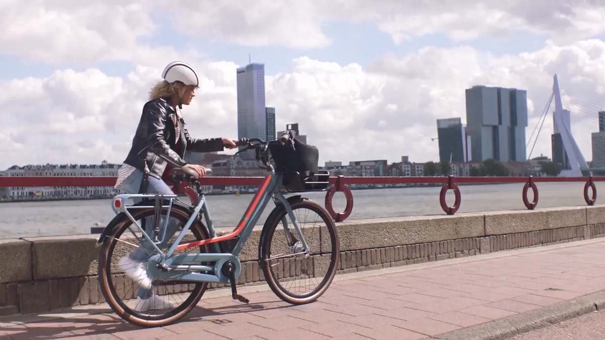 Een insider-ranglijst: 's werelds top e-bike fabrikanten voor