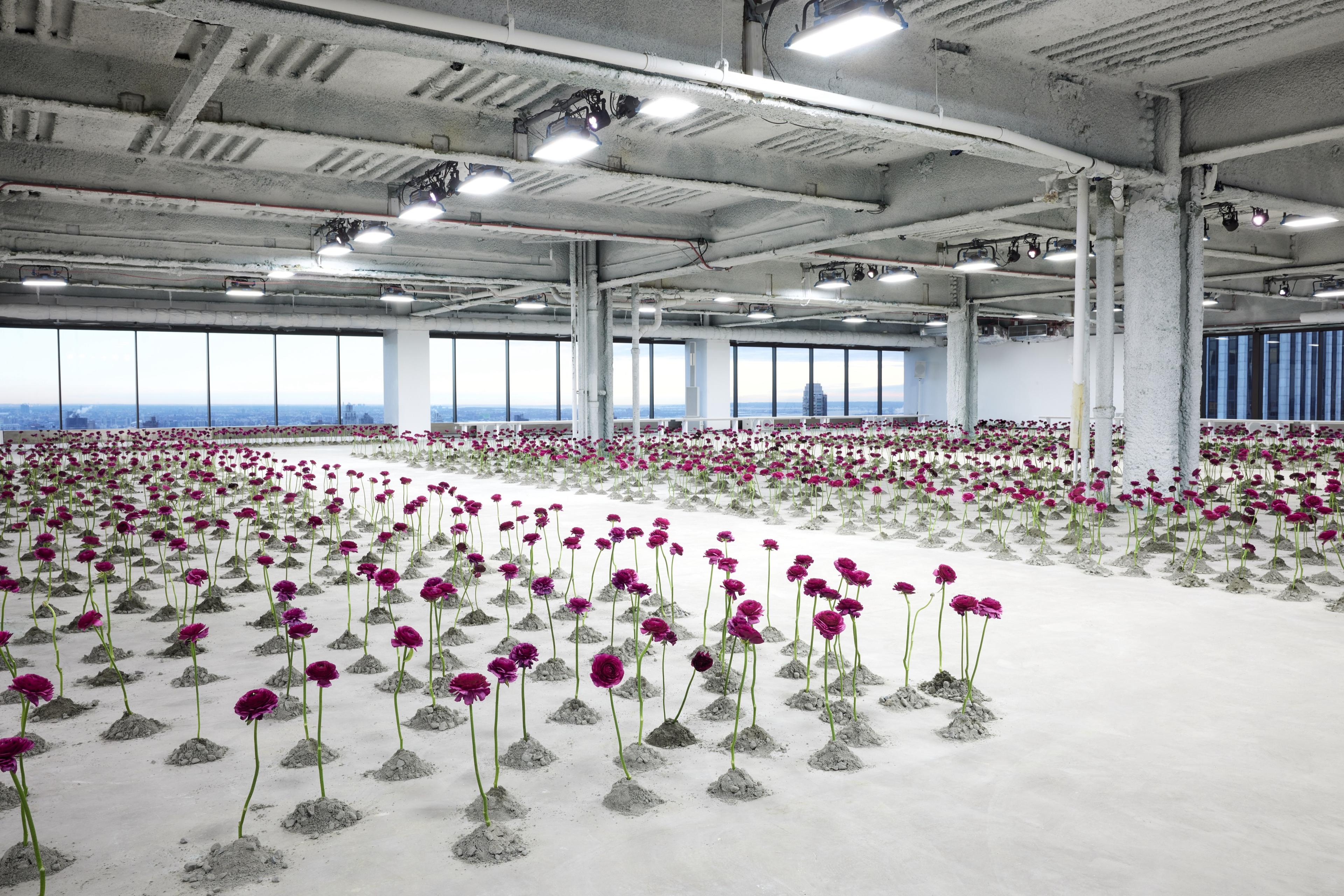 Carolina Herrera FW25, The Solow Building