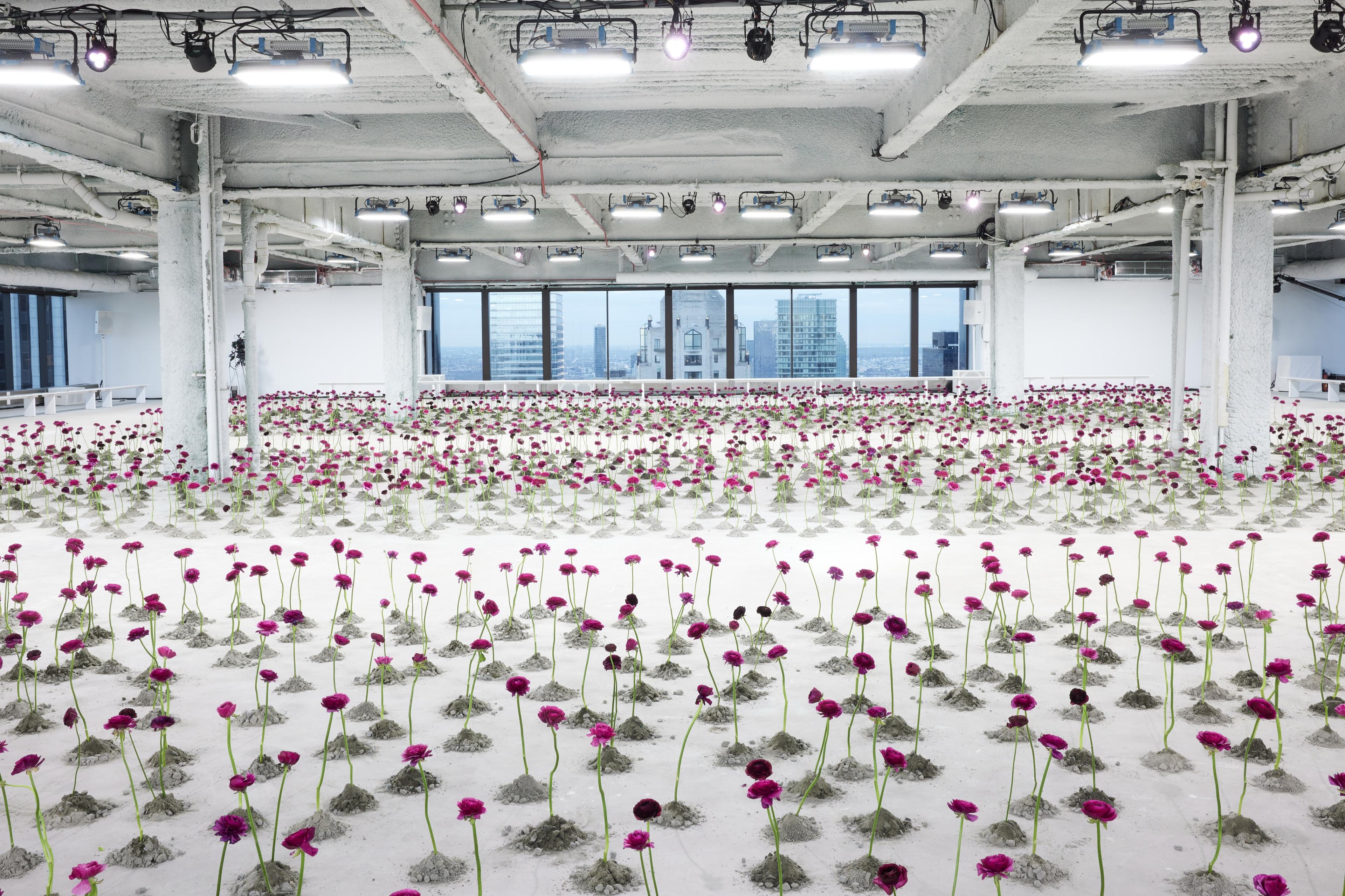Carolina Herrera FW25, The Solow Building