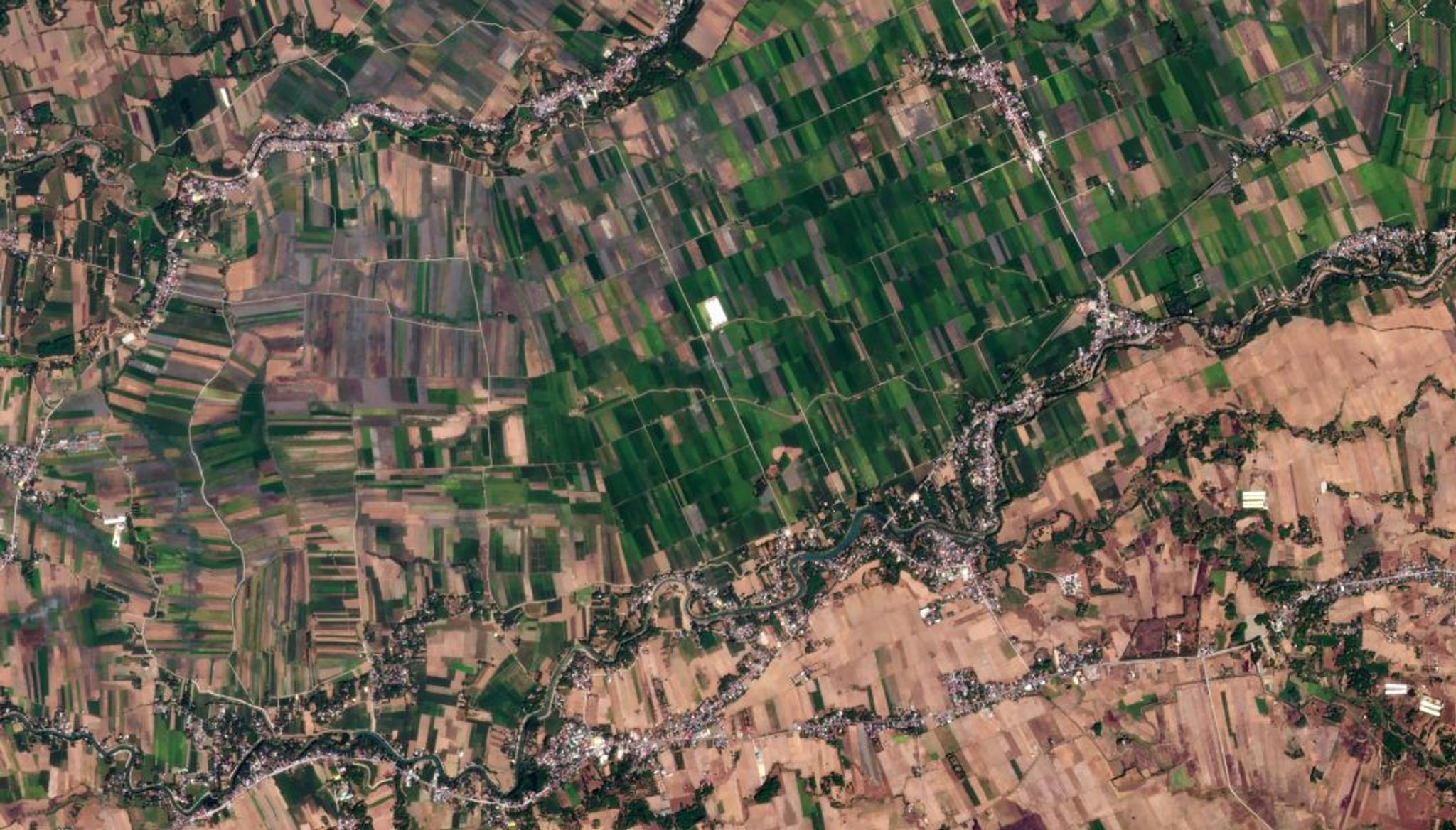 PlanetScope imagery of rice fields in Pangasinan, Philippines, taken on February 22, 2024 © Planet Labs PBC. All Rights Reserved.