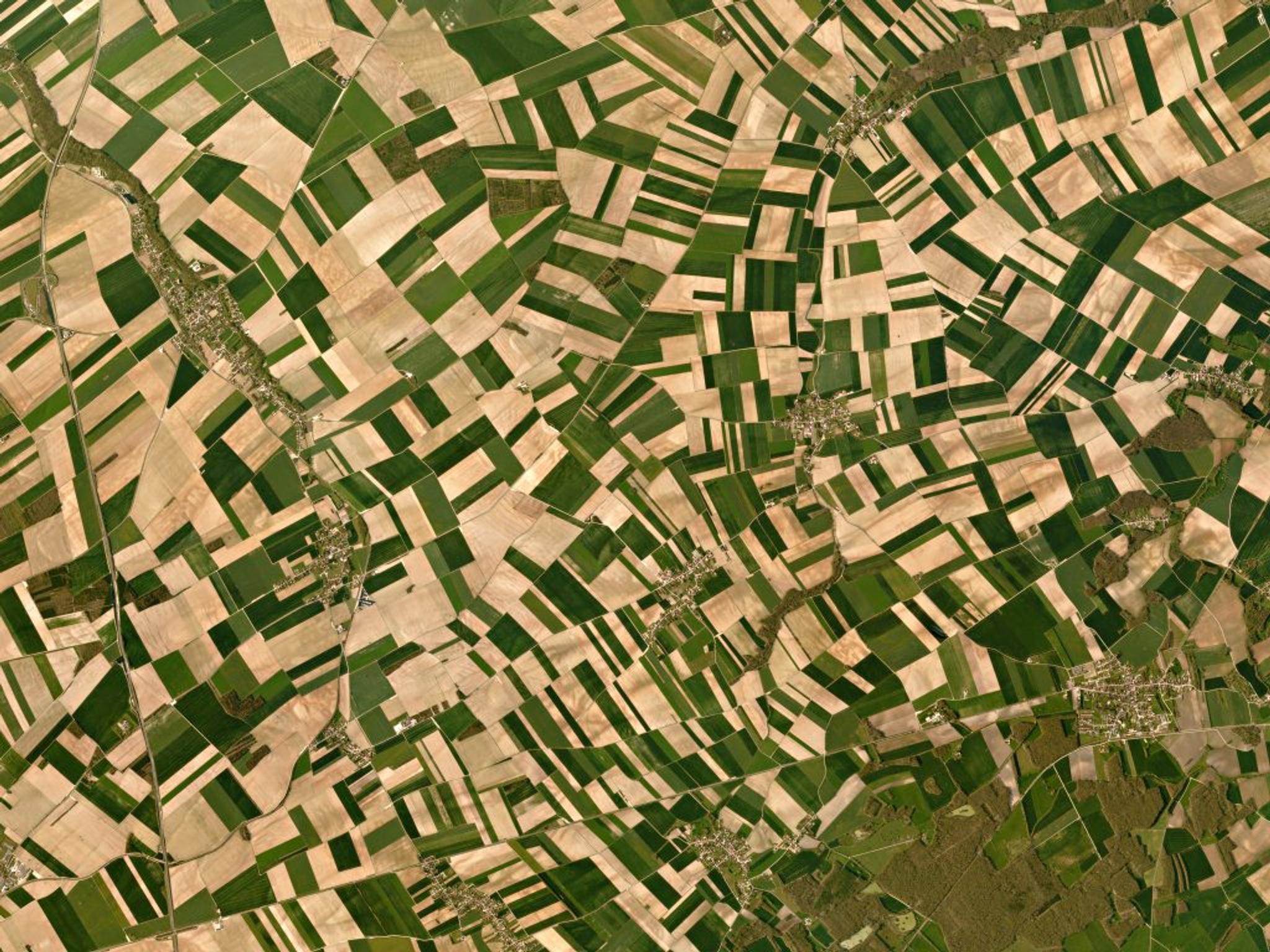 PlanetScope image of Agricultural fields in France.