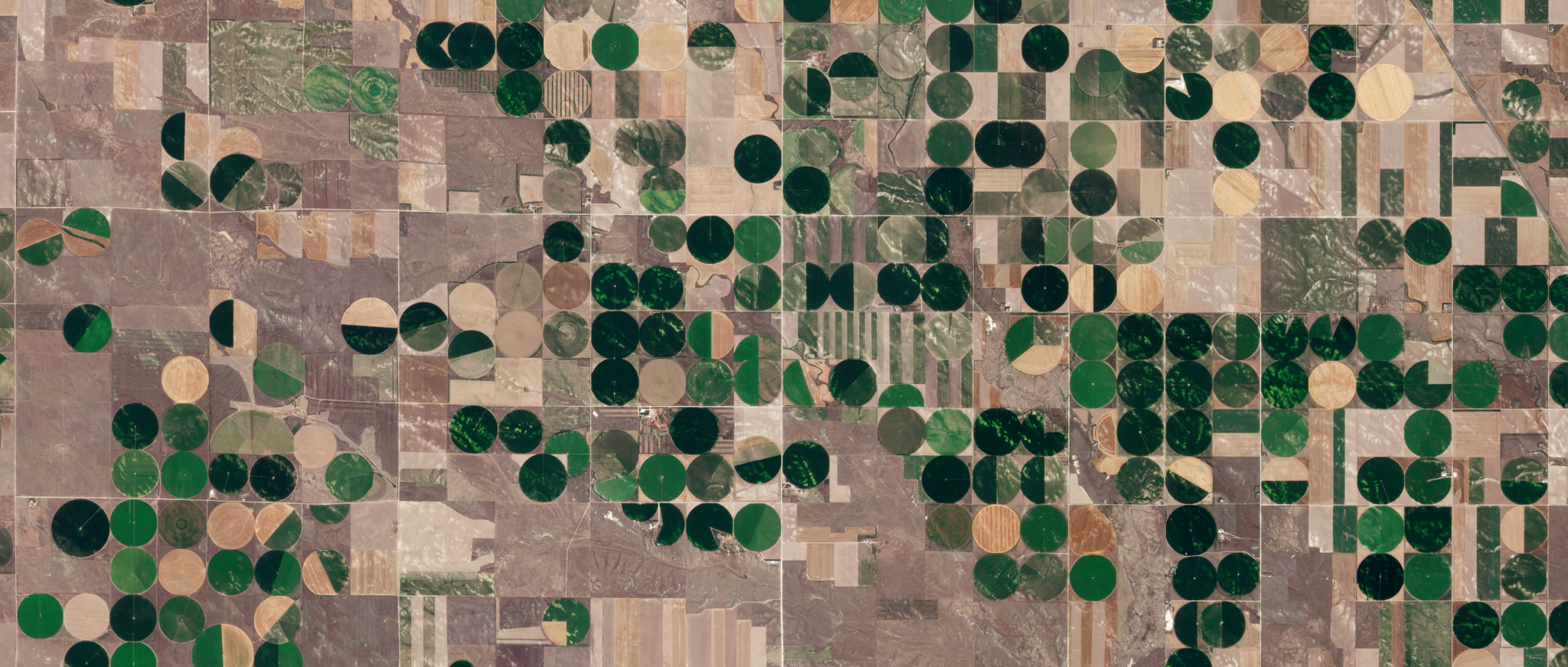 PlanetScope image of agriculture fields in Nebraska, captured July 27, 2024. © Planet Labs 2024. All rights reserved.