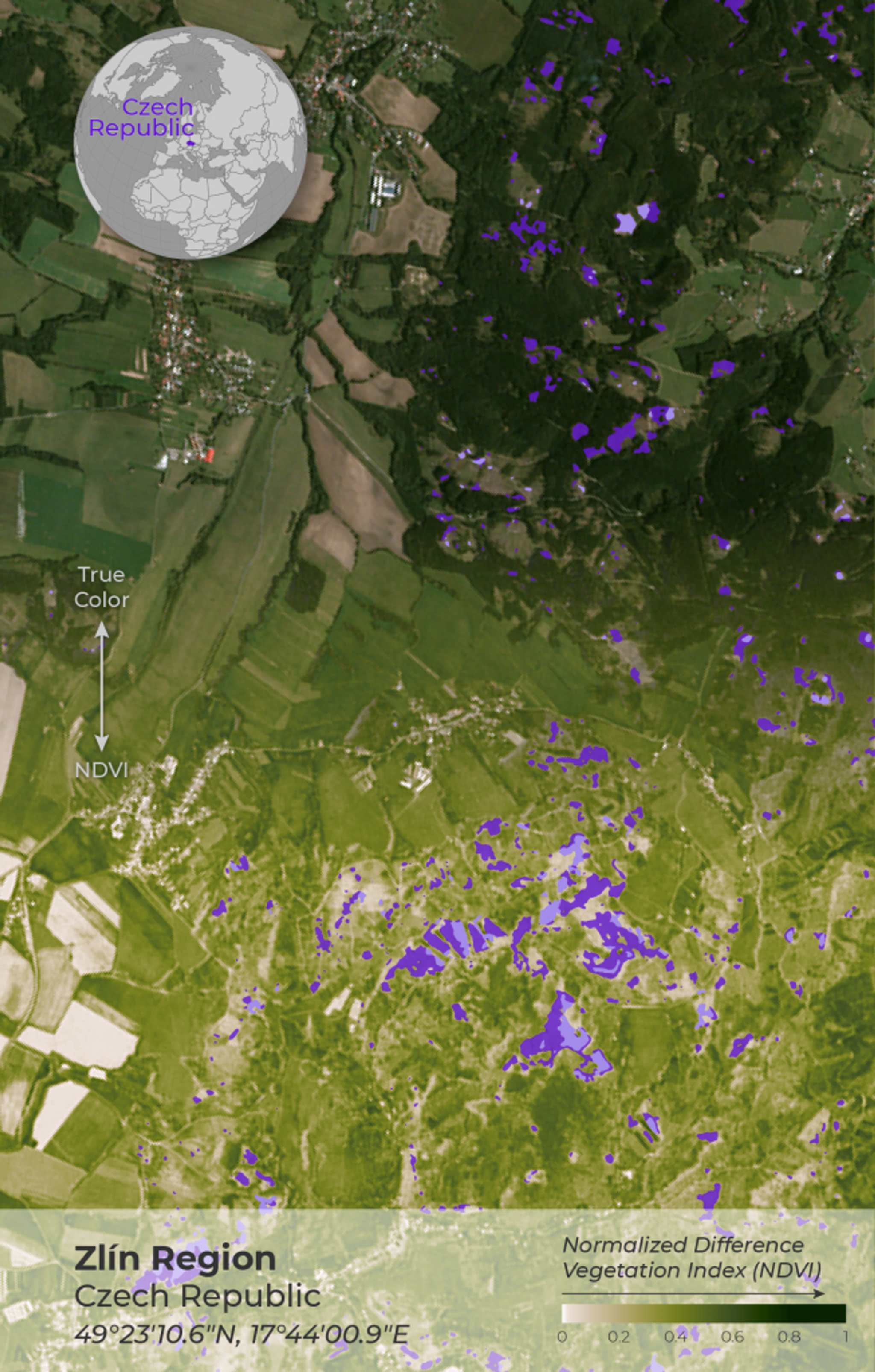 Planet imagery from 2018 showing the dead standing wood and recent forest removal due to the bark beetle calamity. Graphic by Leanne Abraham.