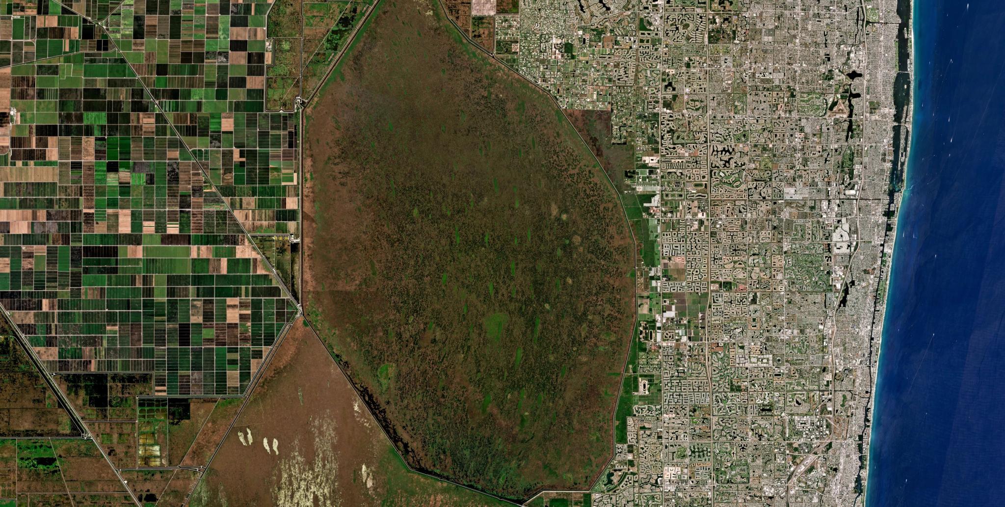 March 2025 Planet Mosaic of Boca Raton, Florida.