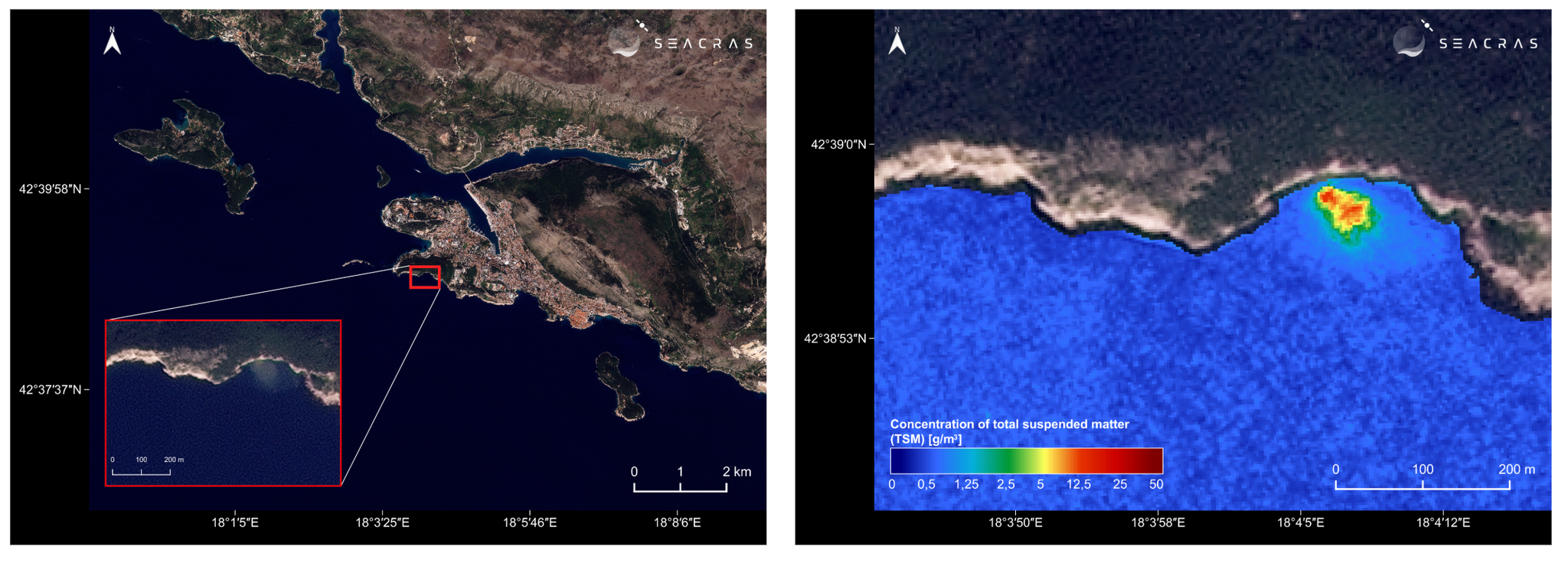 Satellite-derived mapping of total suspended matter (TSM) identifying a sewage discharge plume off the coast of Dubrovnik, highlighting the precision of daily monitoring for pollution source identification.