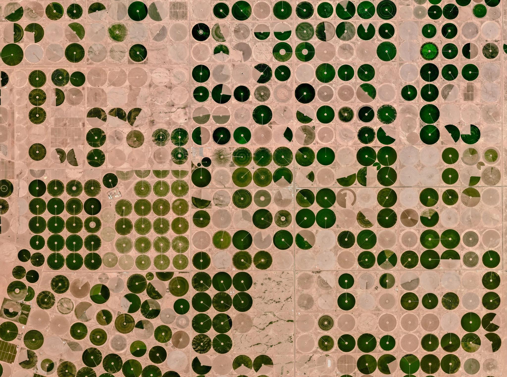 PlanetScope image of center pivot agriculture fields in Wadi-As-Sirhan Basin, Saudi-Arabia, captured March 31, 2025. © Planet Labs 2025. All rights reserved.