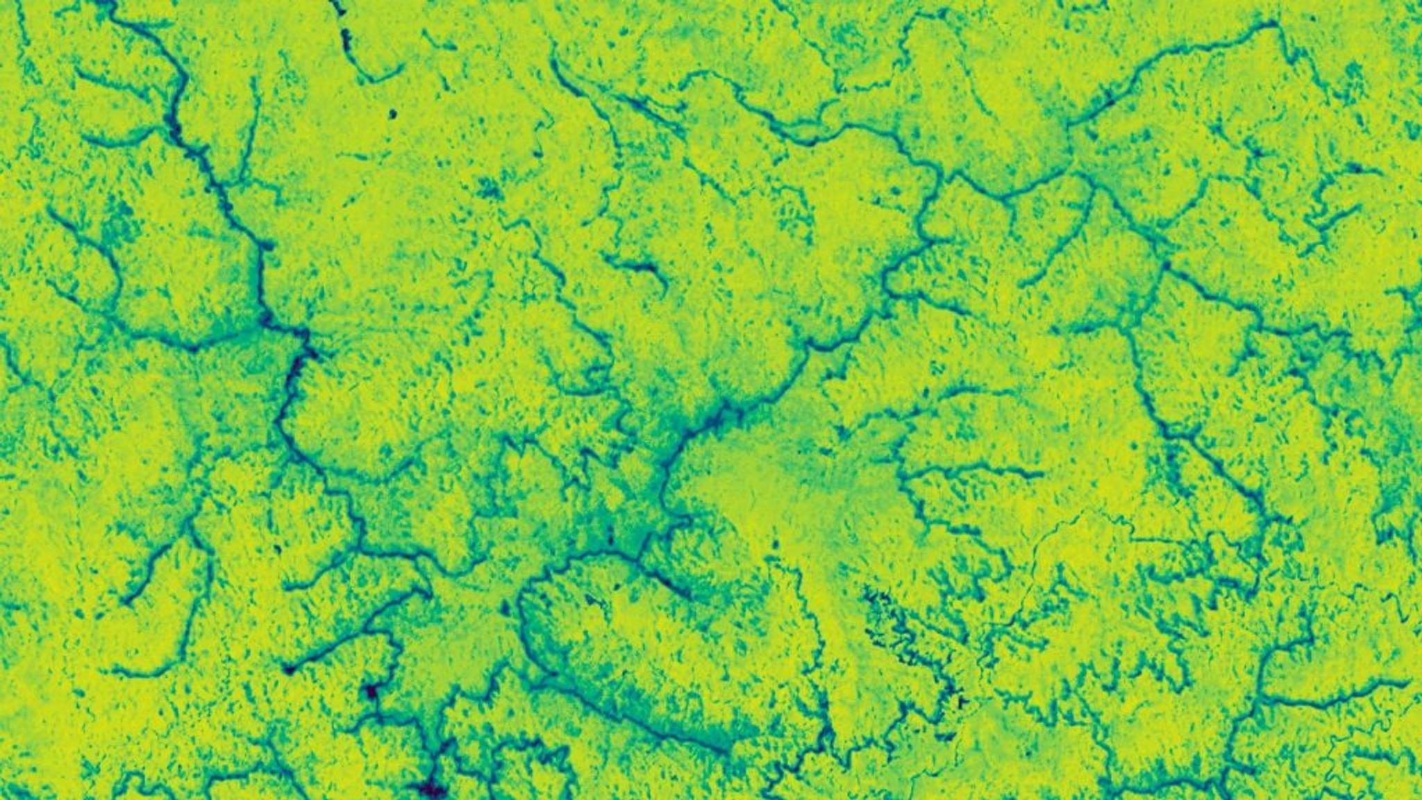 Aboveground Carbon Density in Sarawak State, Malaysia in Q2 2024. (Planet Labs PBC)