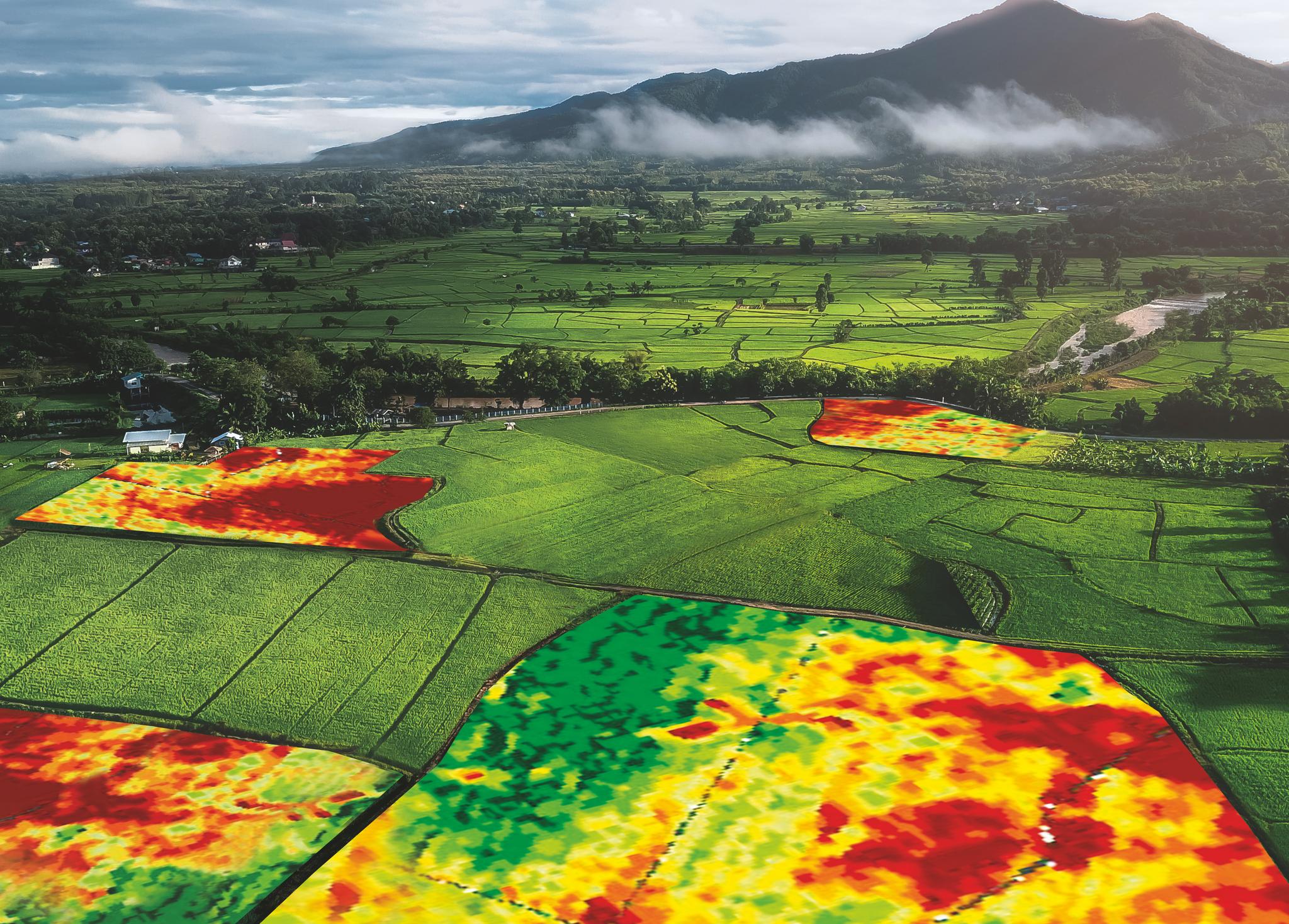 Farmers are now accessing advanced satellites to provide near-live images of fields and crop damage  // Credit: RHIZA