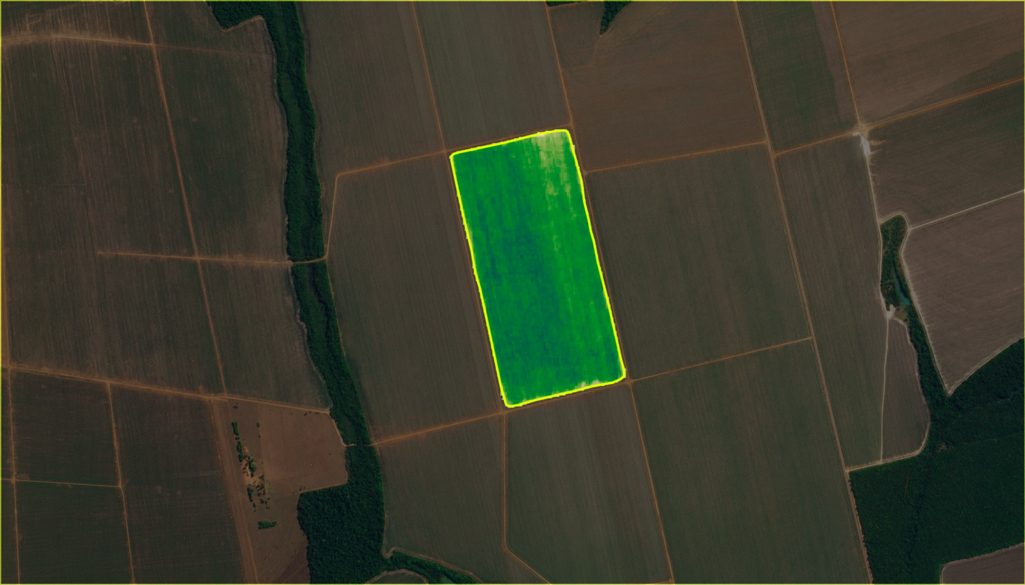 Planet Crop Biomass Planetary Variable product © 2024 Planet Labs PBC. All Rights Reserved.