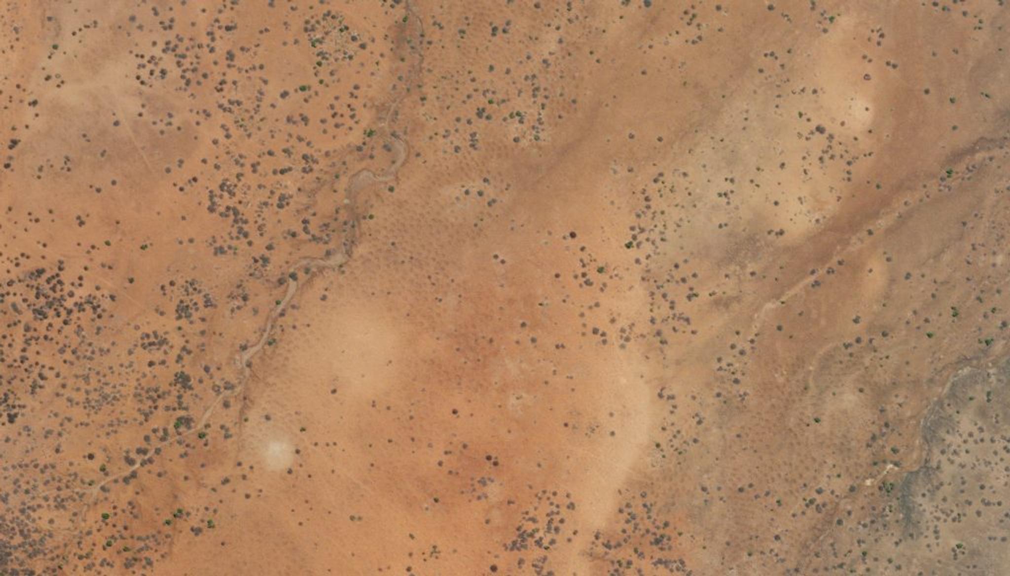 Planet SkySat image of Justdiggit’s Kenyan restoration site taken September 19, 2022. Small bunds can be seen dug into the soil near the center of the image. © 2022, Planet Labs PBC. All Rights Reserved.