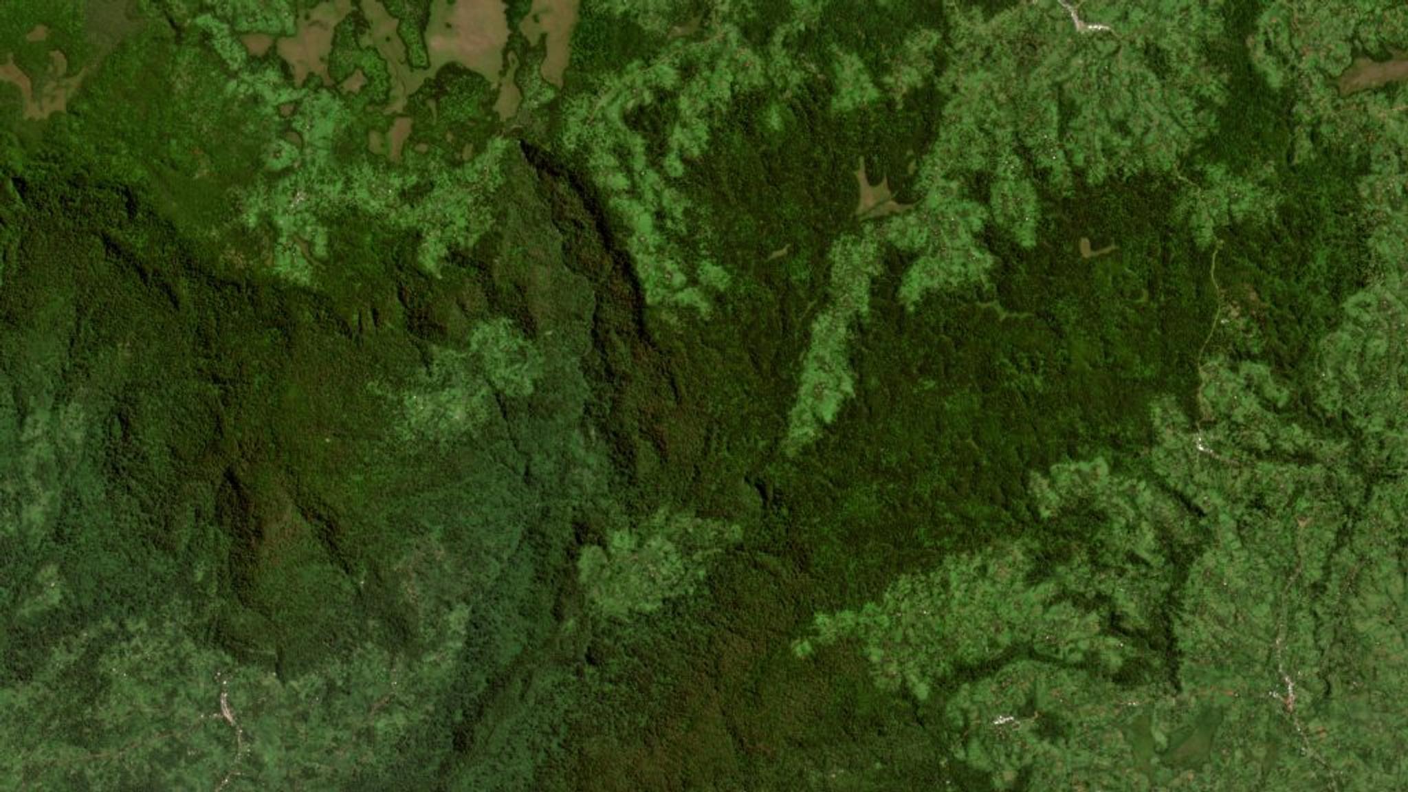 Planet satellite image of tropical forest in Ethiopia. 