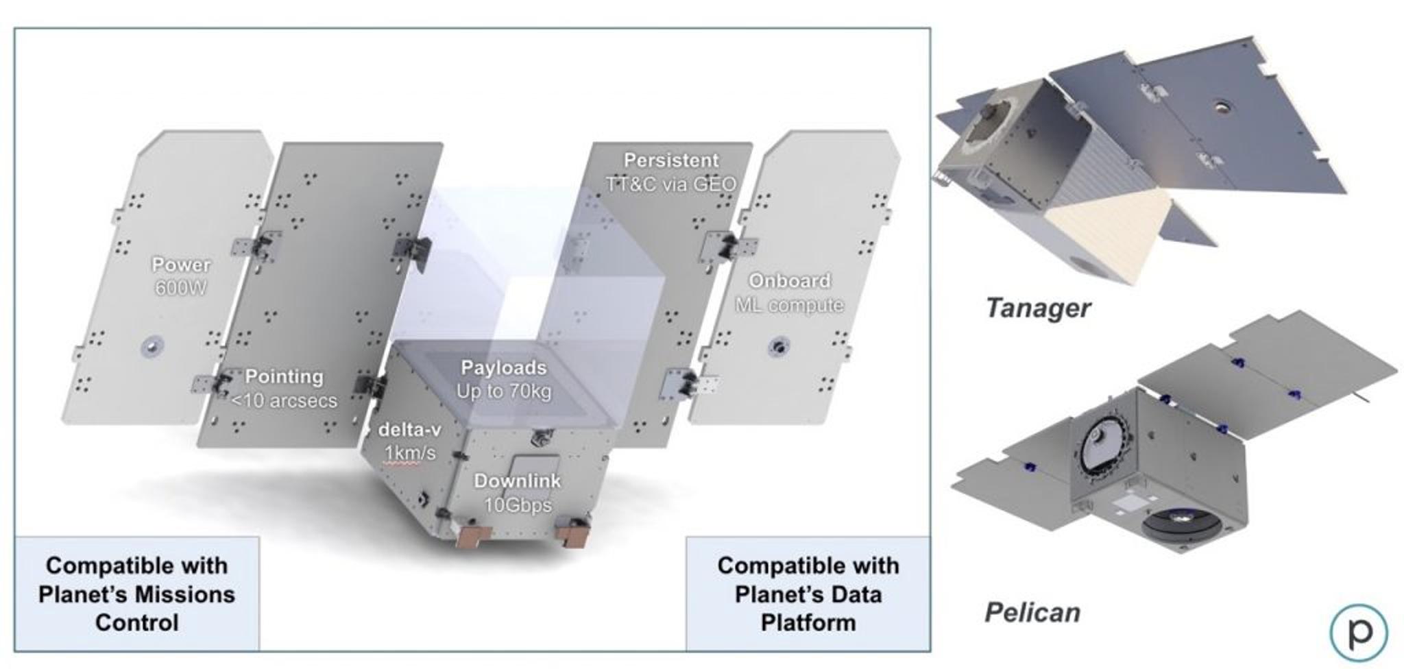 Pelican and Tanager renderings 