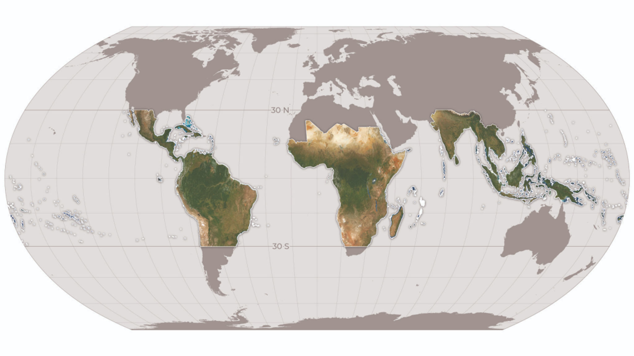 Planet global mosaic for tropical forests.