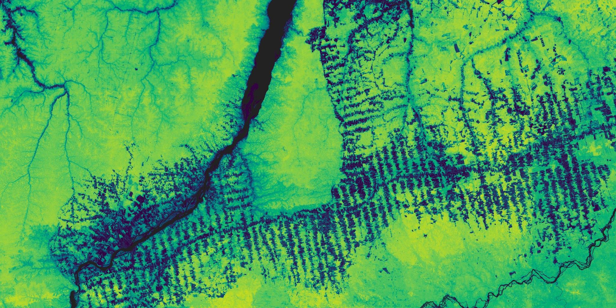 Above ground forest carbon near the Tapajós River in Brazil. © 2023 Planet Labs PBC. All Rights Reserved.