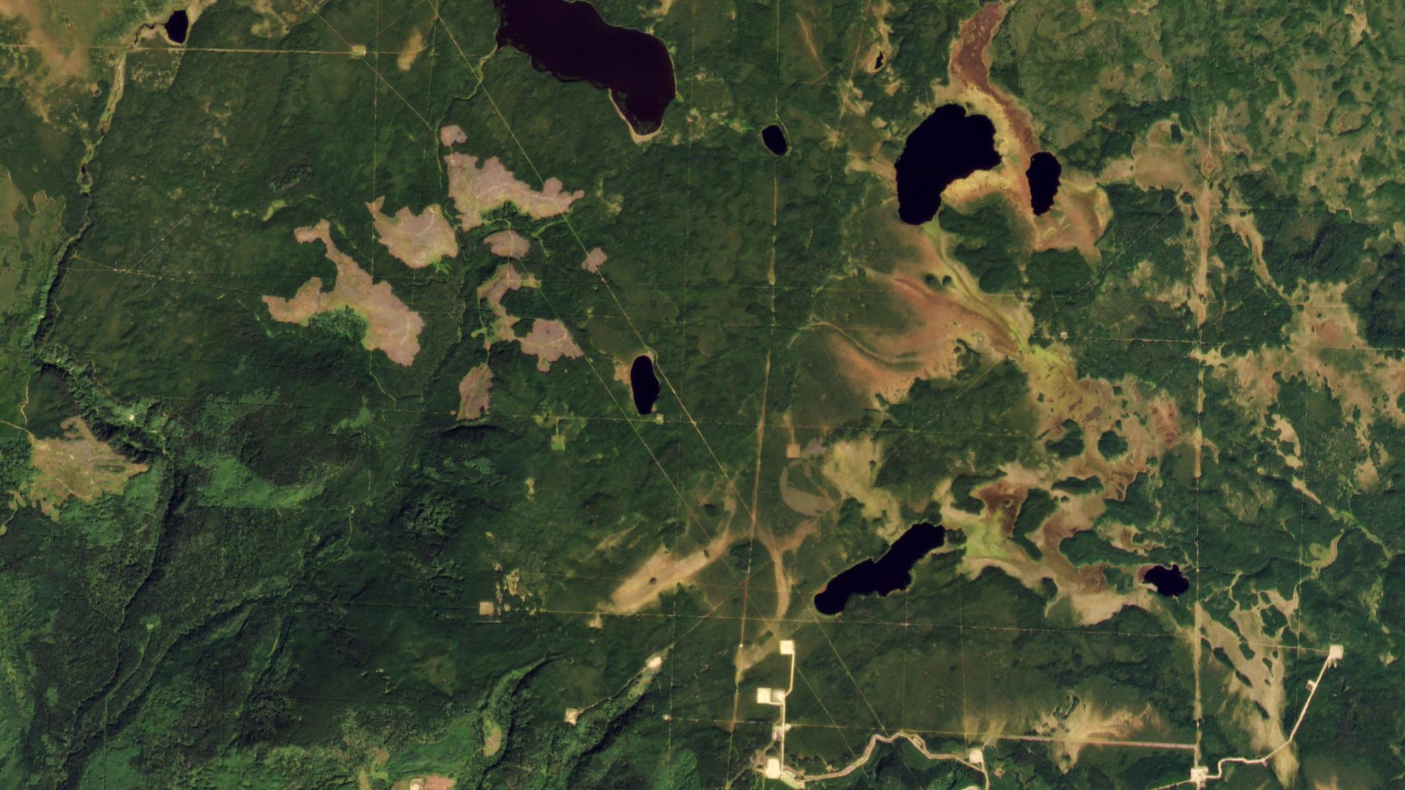 PlanetScope image of forests in Canada’s boreal zone outside of Clear Prairie, Alberta captured on September 2, 2021.  © 2021, Planet Labs PBC. All Rights Reserved.