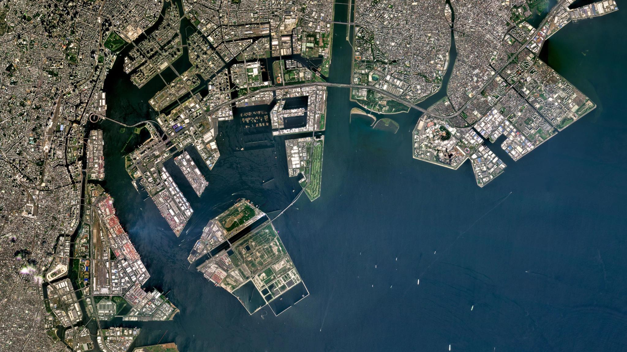 2025 Quarterly Planet Mosaic of Tokyo, Japan.