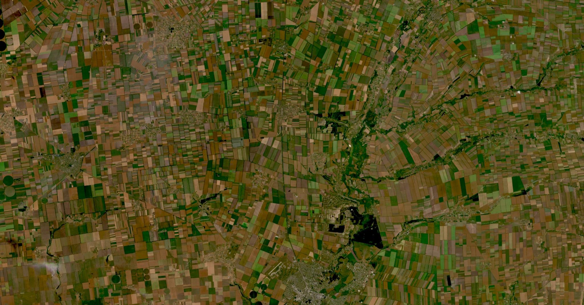 NASA Harvest image using Planet’s data shows fields in the Russian-occupied area north of Melitopol, Ukraine.