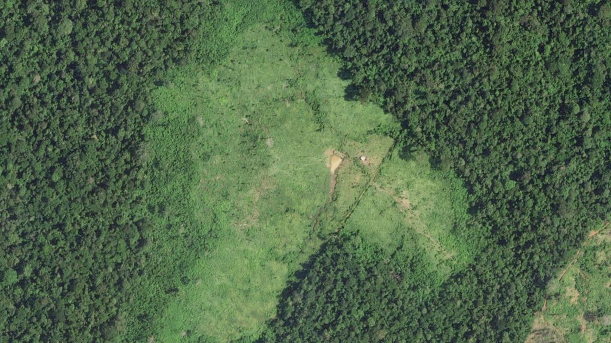 Deforestation in Manoel Urbano, Brazil on March 24, 2024. (Planet Labs PBC)