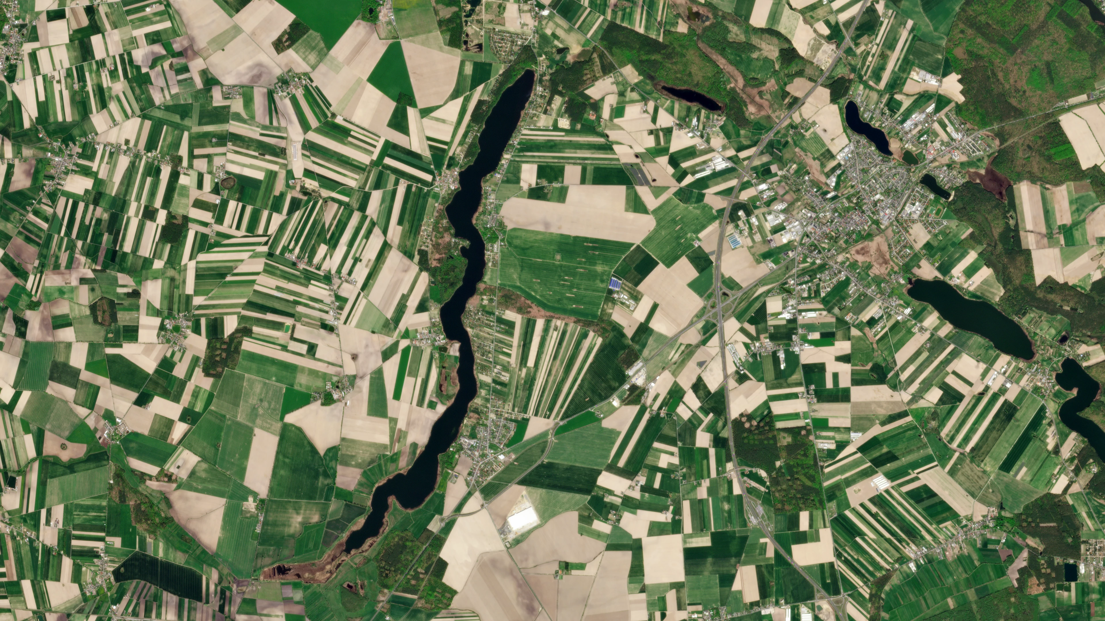 Planet and SatAgro Maximize Farm Margins With Near-Daily Insights