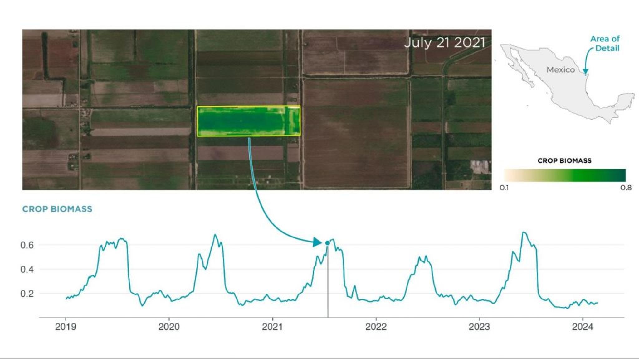 Planet’s cloud-free Crop Biomass data provides a straightforward, analysis-ready datastream to track crop growth and optimize in-season management decisions