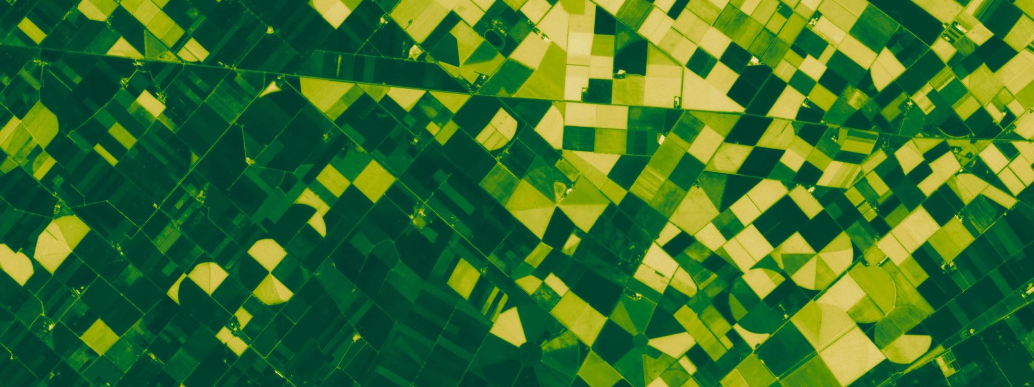 NDVI (Normalized Difference Vegetation Index) visualization of agricultural fields in New Zealand, captured March 20, 2026. © 2025 Planet Labs PBC. All Rights Reserved.