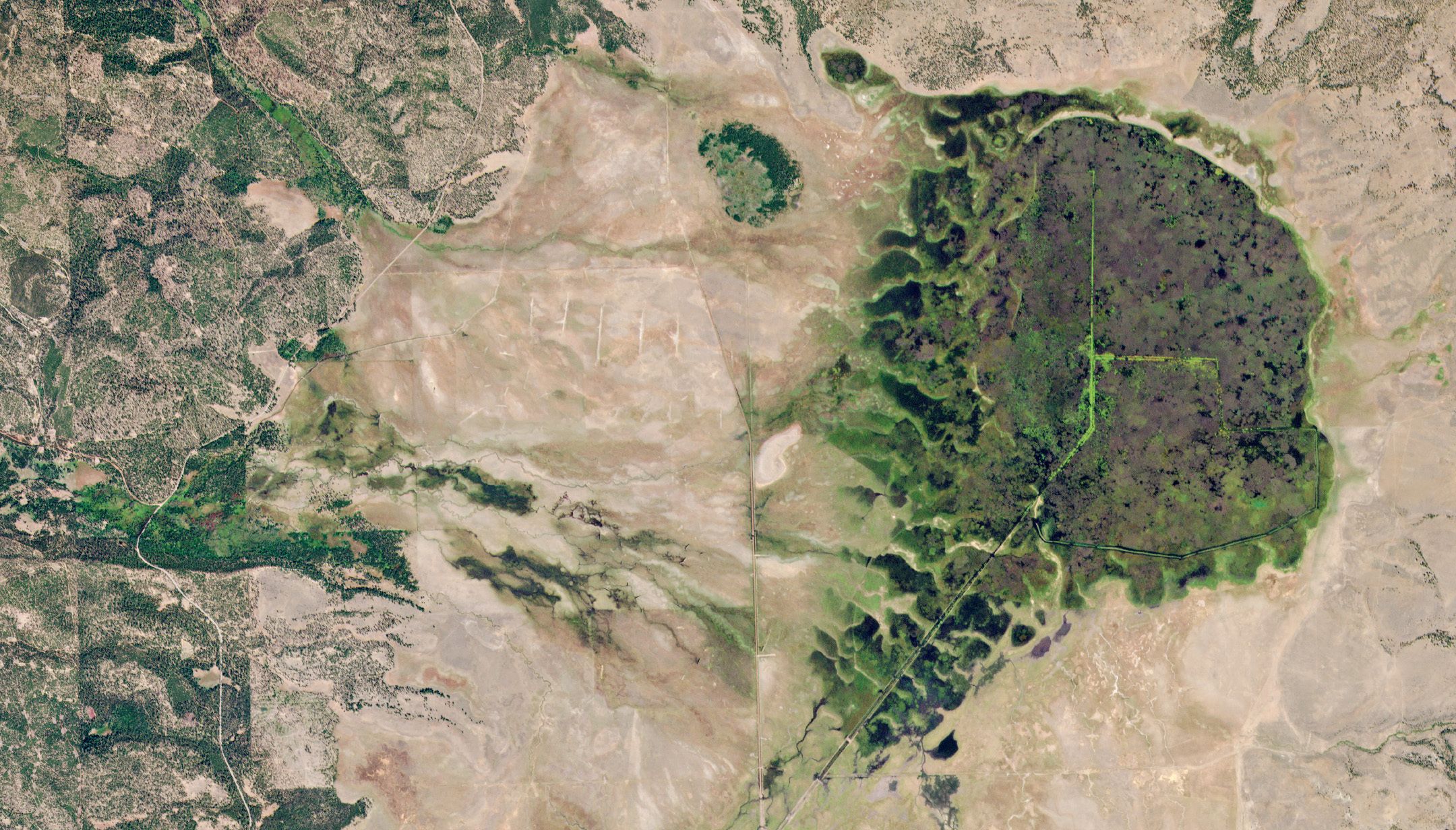 Planet Partner Upstream Tech To Offer Global Mosaics Subscription within Lens