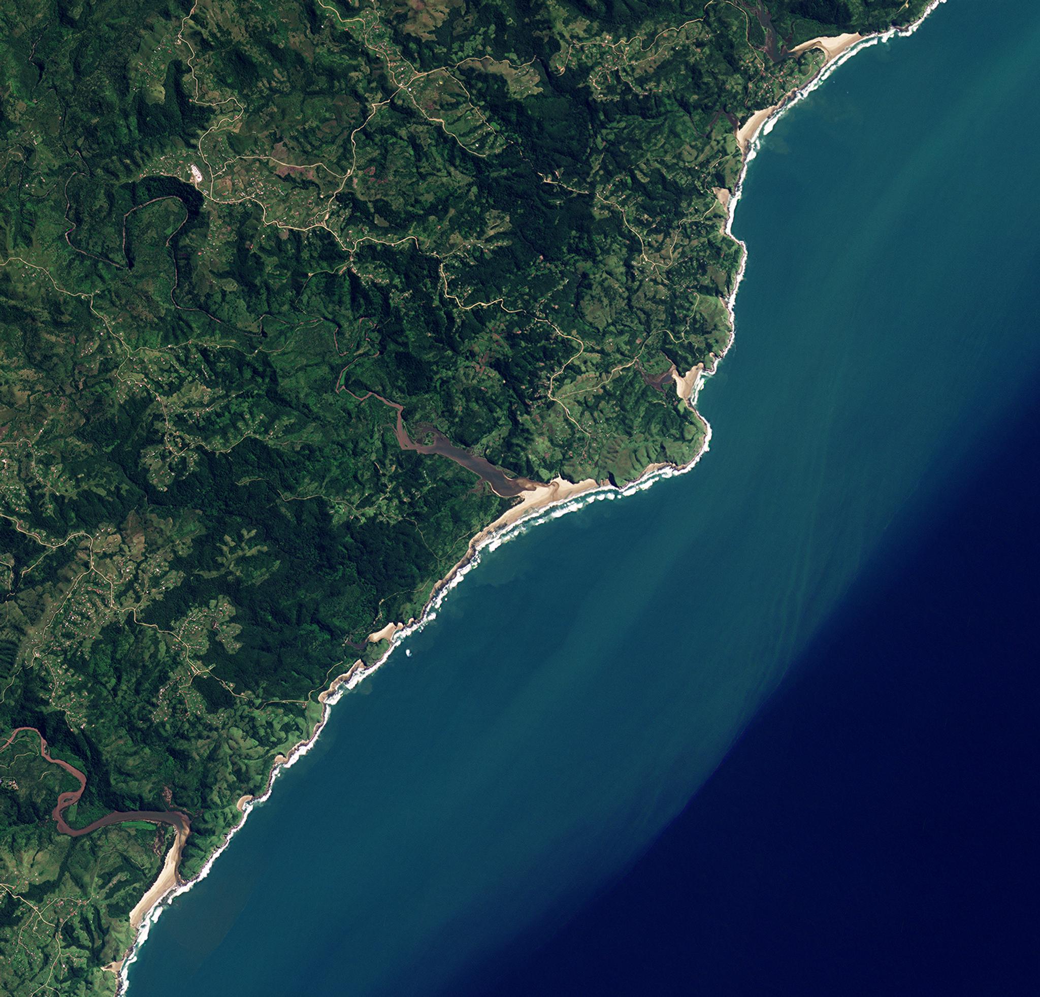 PlanetScope image of forested land in South Africa captured March 20, 2022. © 2022 Planet Labs PBC. All Rights Reserved.