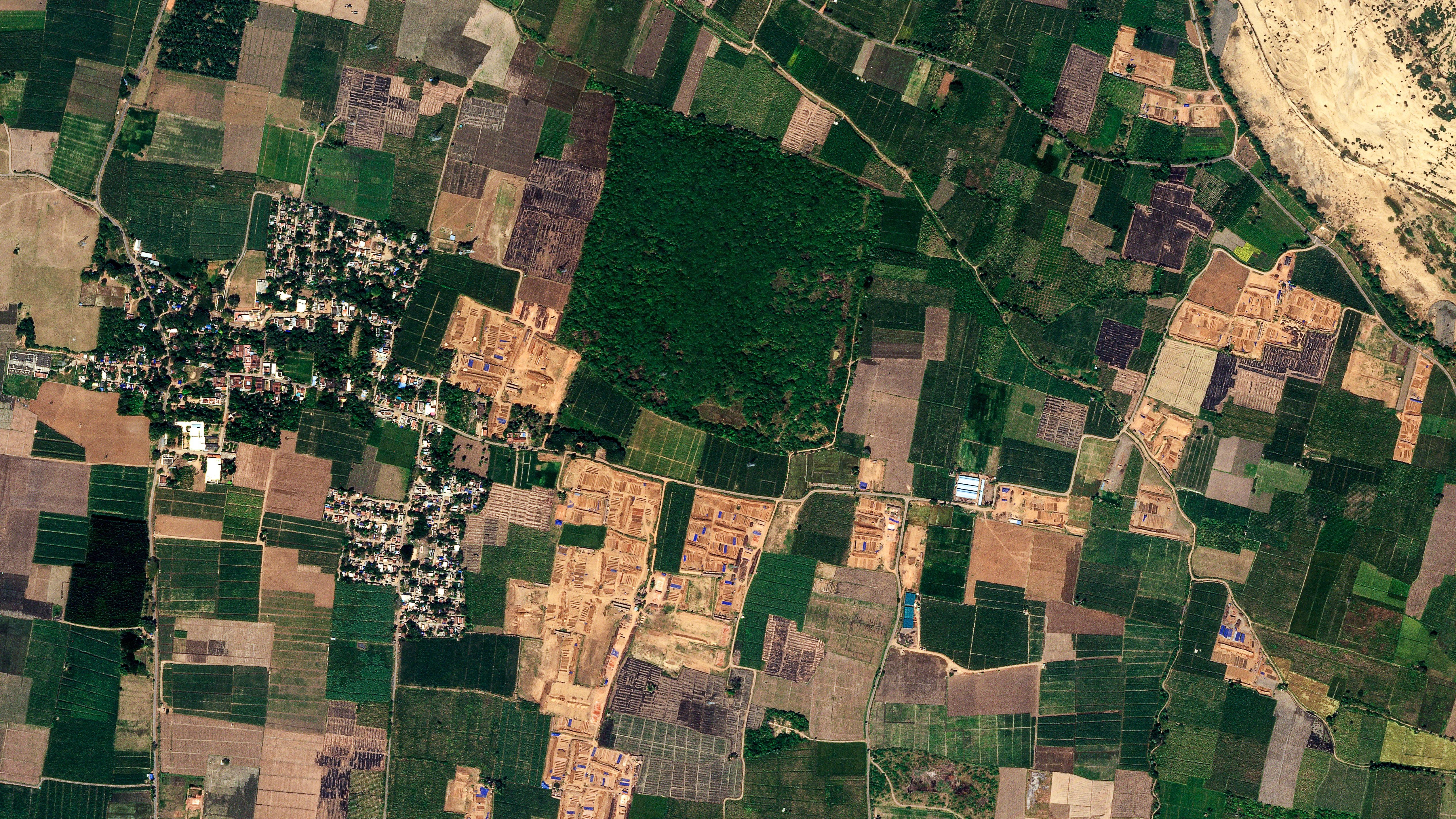 How Mahindra Uses Planet Monitoring to Transform Sugarcane Harvest Planning in India