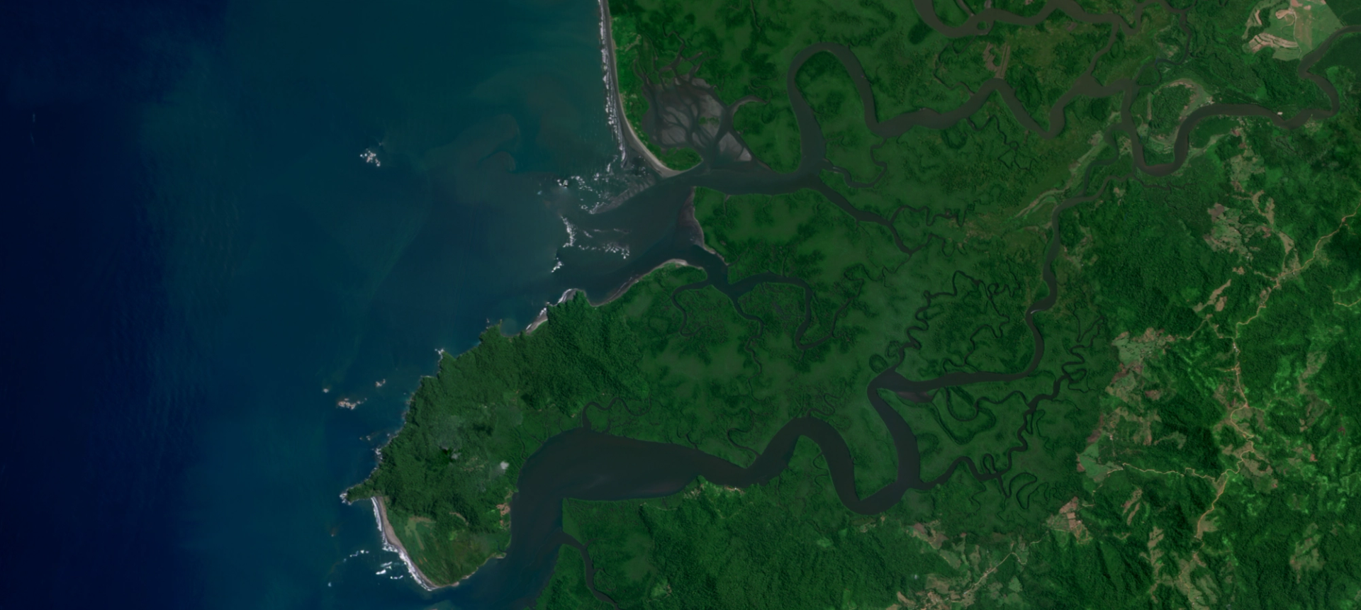 How Upstream Tech’s Lens Platform and Planet Imagery Help One Tree ...