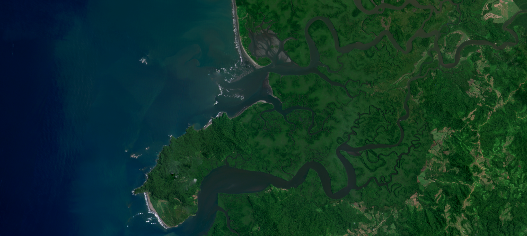 Image of mangrove forests in Terraba Sierpe National Wetlands, Costa Rica, one of One Tree Planted's reforestation sites. © 2023, Planet Labs PBC. All Rights Reserved.