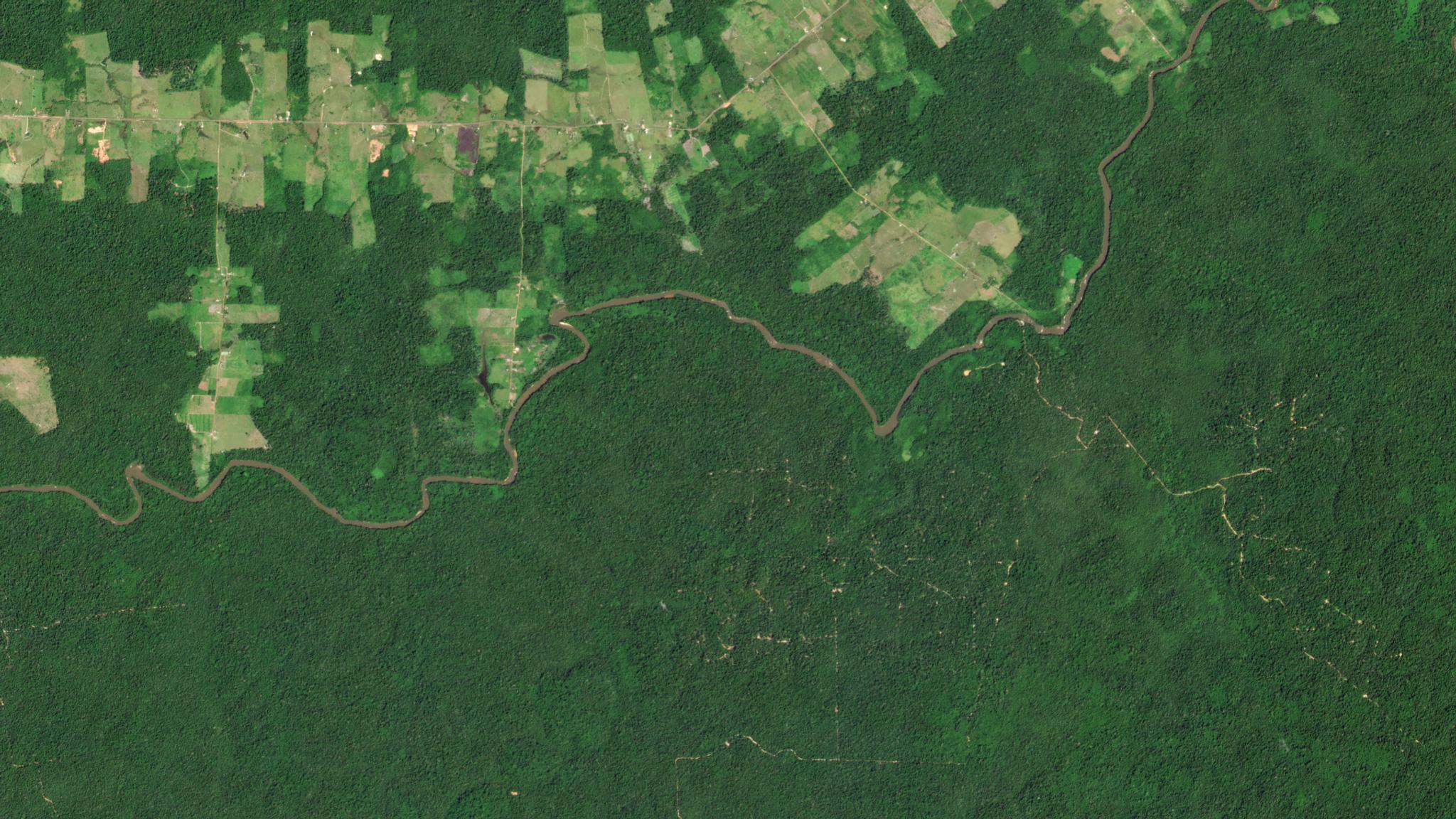 This PlanetScope image shows agricultural fields and selective logging along the Jauaperi River, near Rorainópolis in the Brazilian Amazon. © 2020, Planet Labs Inc. All Rights Reserved.