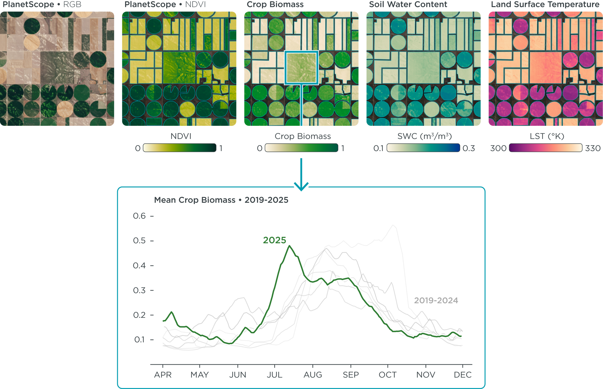 Planet Crop Biomass time series data from 2019 through 2024 plotted year over year for an agriculture field in Nebraska.