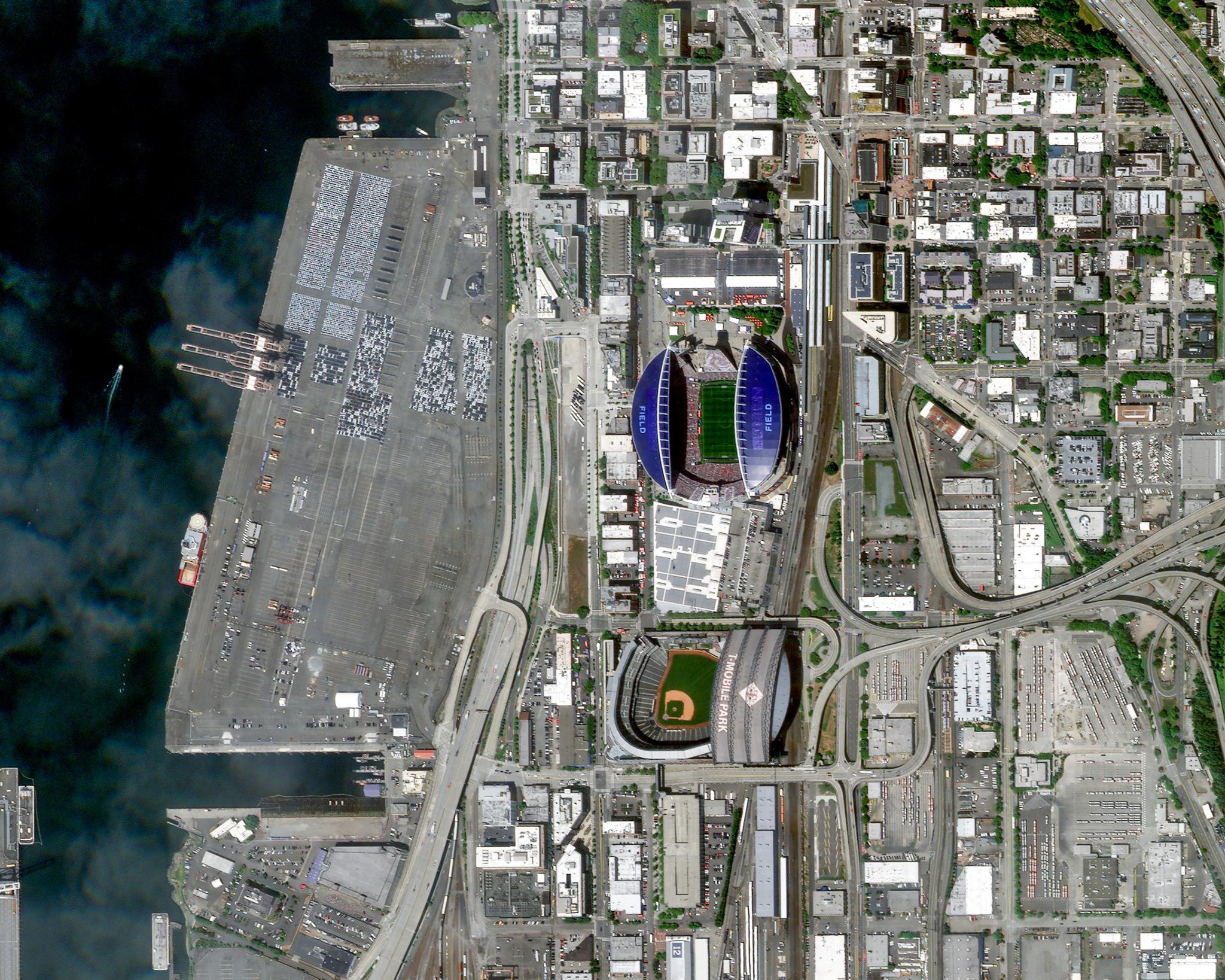 Pelican • Seattle, Washington, USA • June 15, 2026