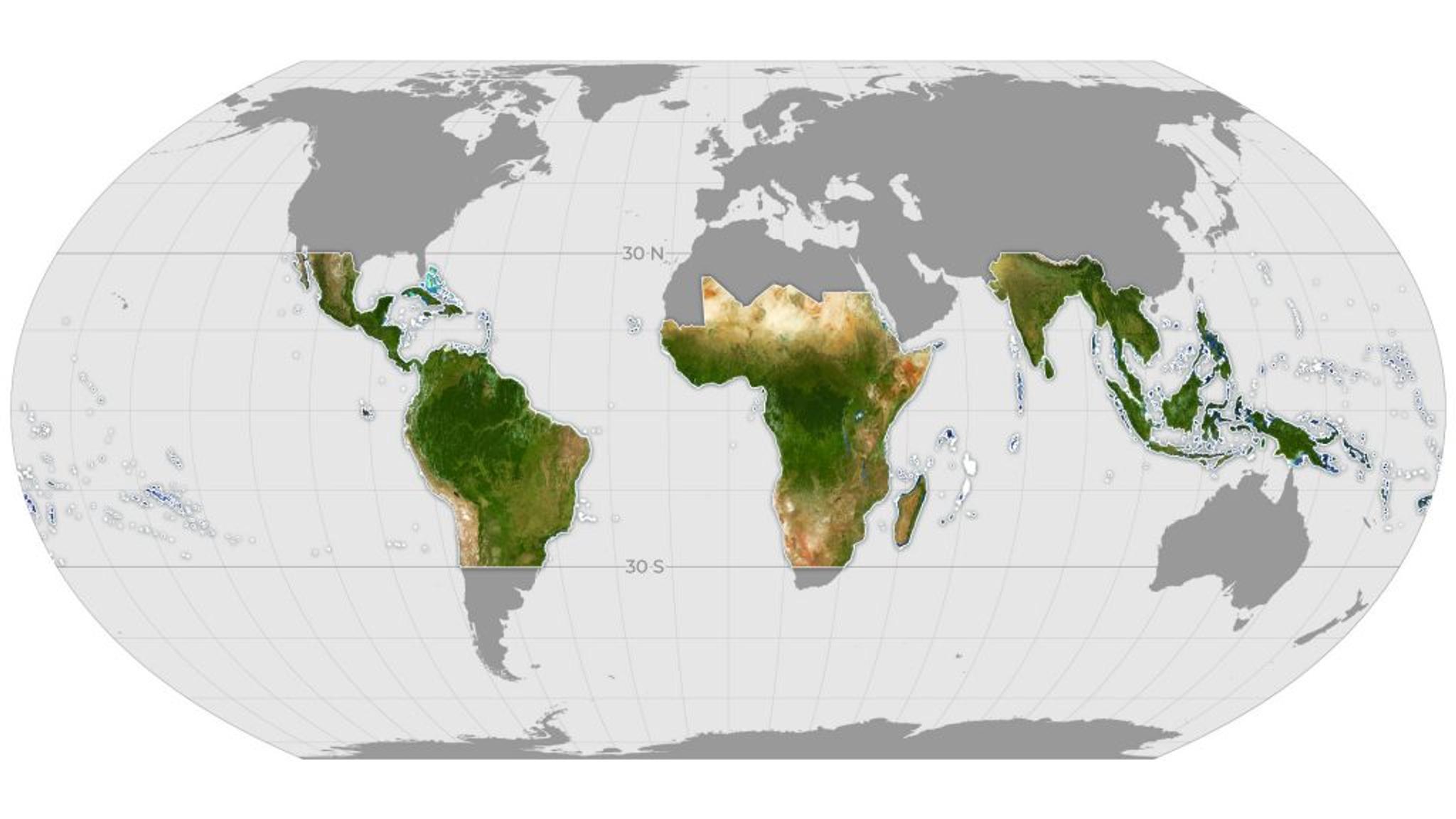 Planet's NICFI tropical Basemap of all of the world's tropical forests used by the NIFCI Satellite Data Program to combat global deforestation. 