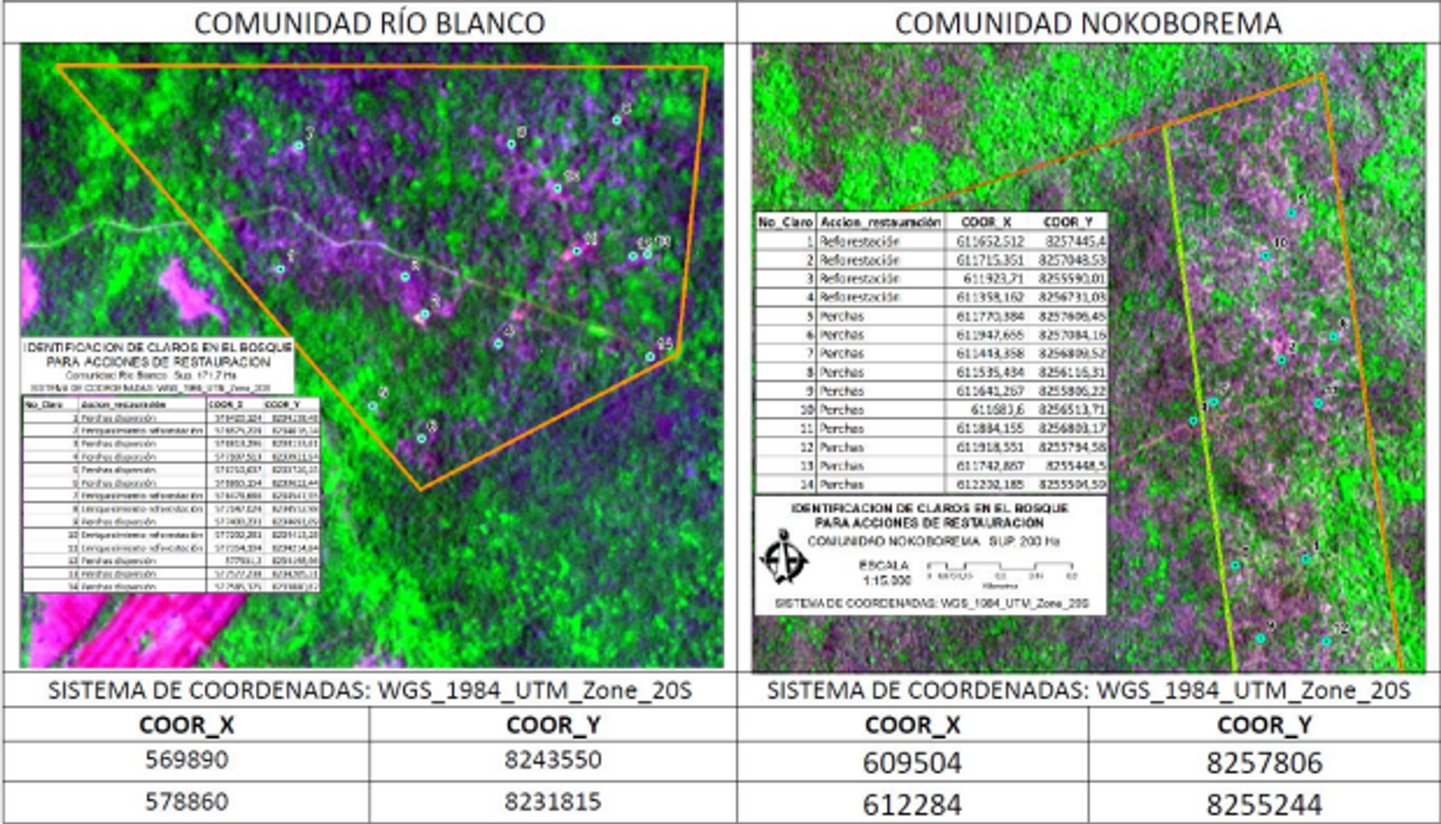 Forests of the World uses Planet-NICFI Data for the identification of clearings to be restored after timber extraction or forest fires, communities of Río Blanco and Nokoborema in the Indigenous territory of Monte Verde, Bolivia.