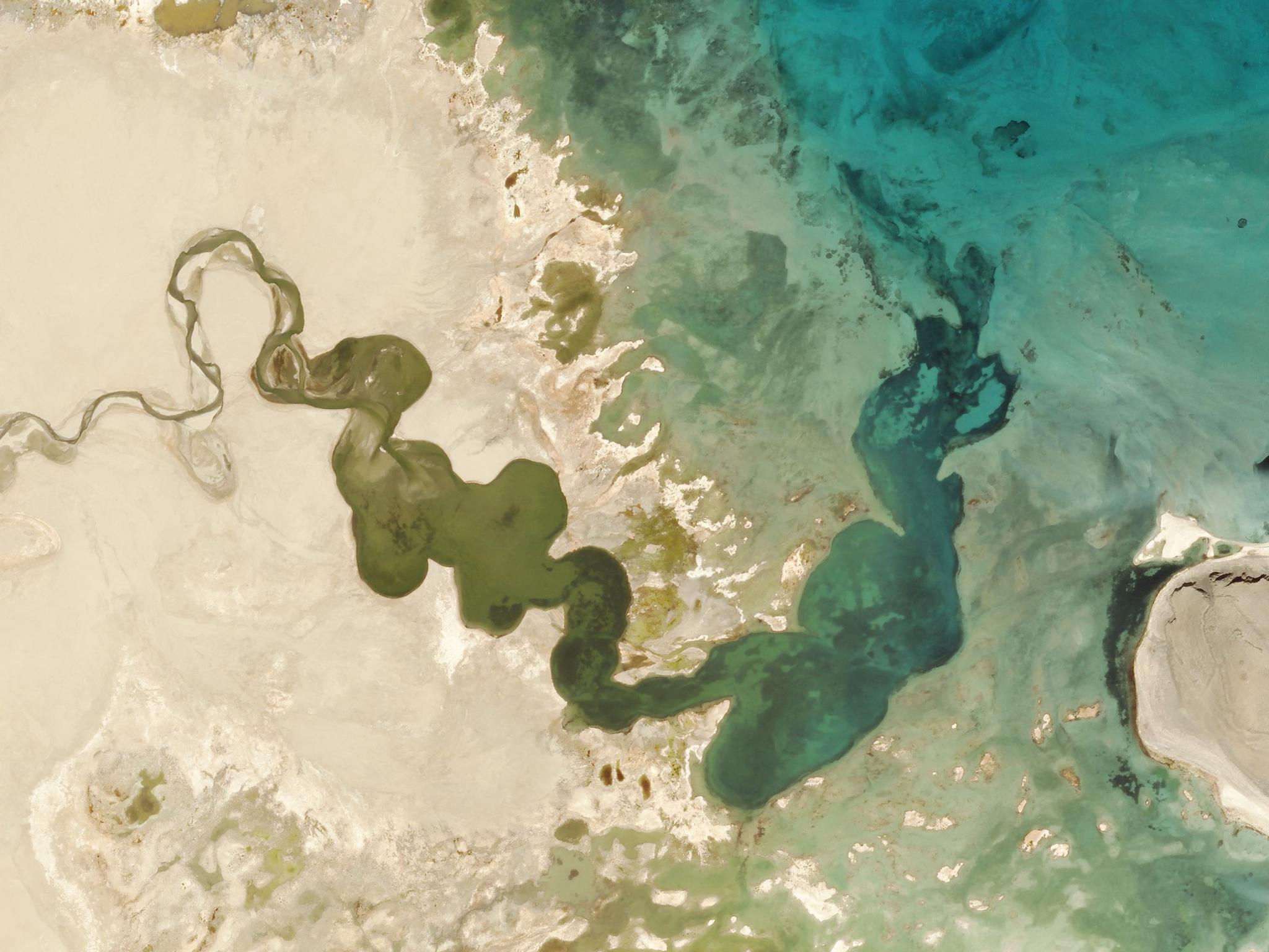 This SkySat image collected on May 27, 2020 shows a stream emptying into Pangong Tso, a salty lake high up on the Tibetan Plateau. © 2020, Planet Labs Inc. All Rights Reserved.